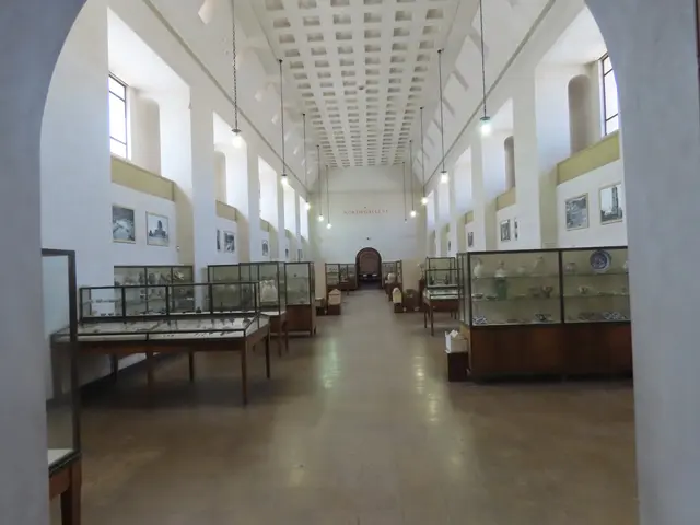 The image shows a large room filled with lots of glass cases, tables, frames on the walls, lights...