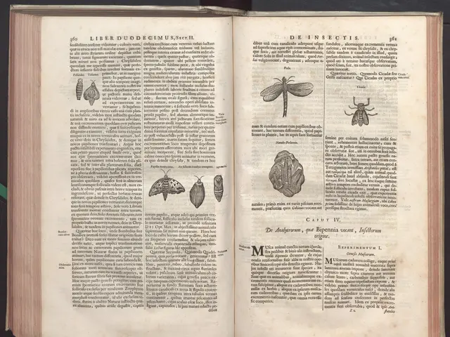 The image shows an open book with a variety of insects on it, set against a dark background. The...