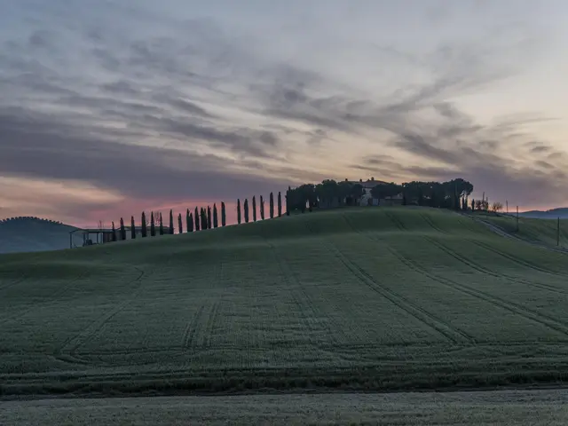 The image shows a stunning view of the Tuscany countryside at sunset, with lush green grass on the...