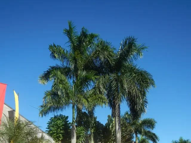 The image shows the entrance to Rafael Memorial Park in Cebu City, Philippines. We can see the road...
