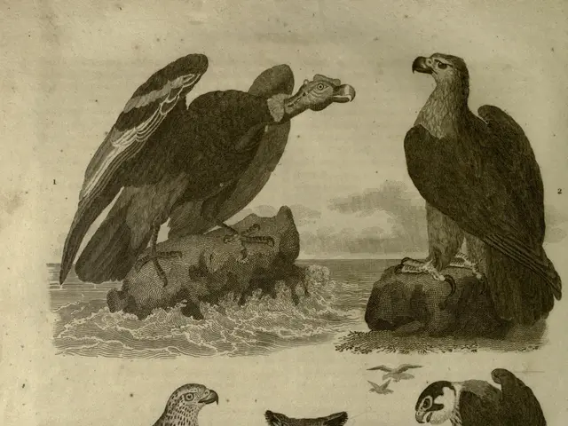The image shows a group of birds of prey, including an eagle, perched atop a tree branch. The paper...