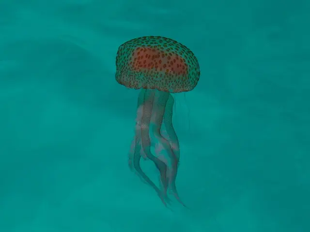In this image there is a jellyfish in the water.