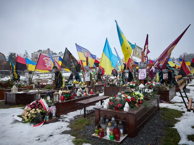 The image shows a cemetery in Kiev, Ukraine, with flags and flowers placed in the snow. There are...