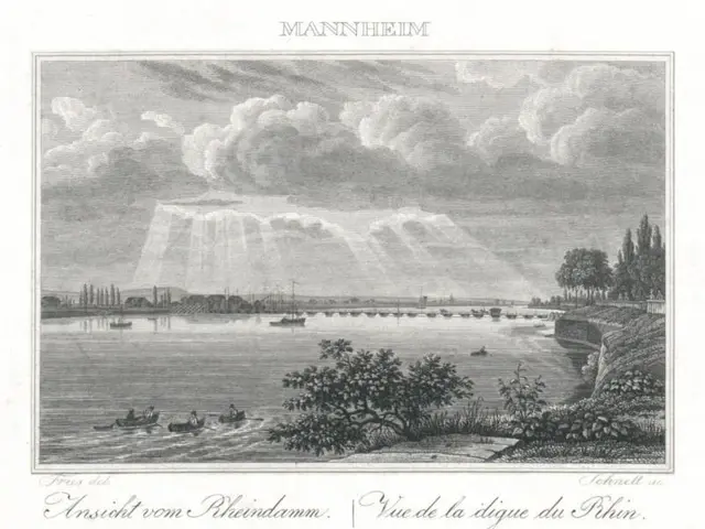 The image shows a view of the Rhine River with a waterfall in the background, surrounded by trees,...