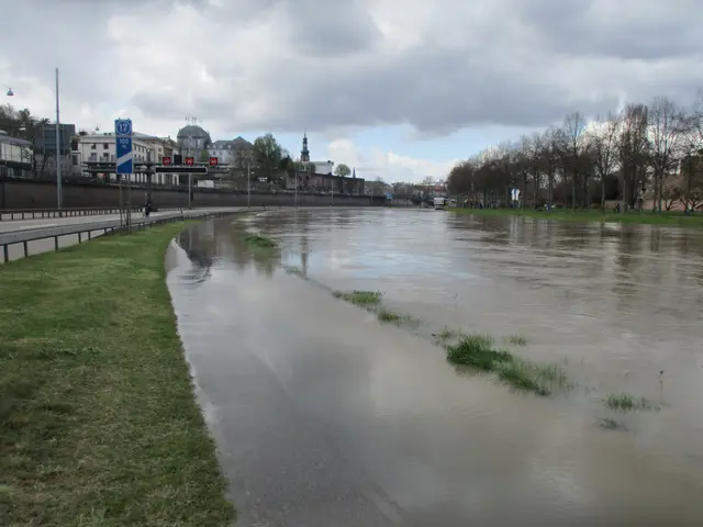 The image shows a flooded street in the middle of a city, with water on the road, grass on the...