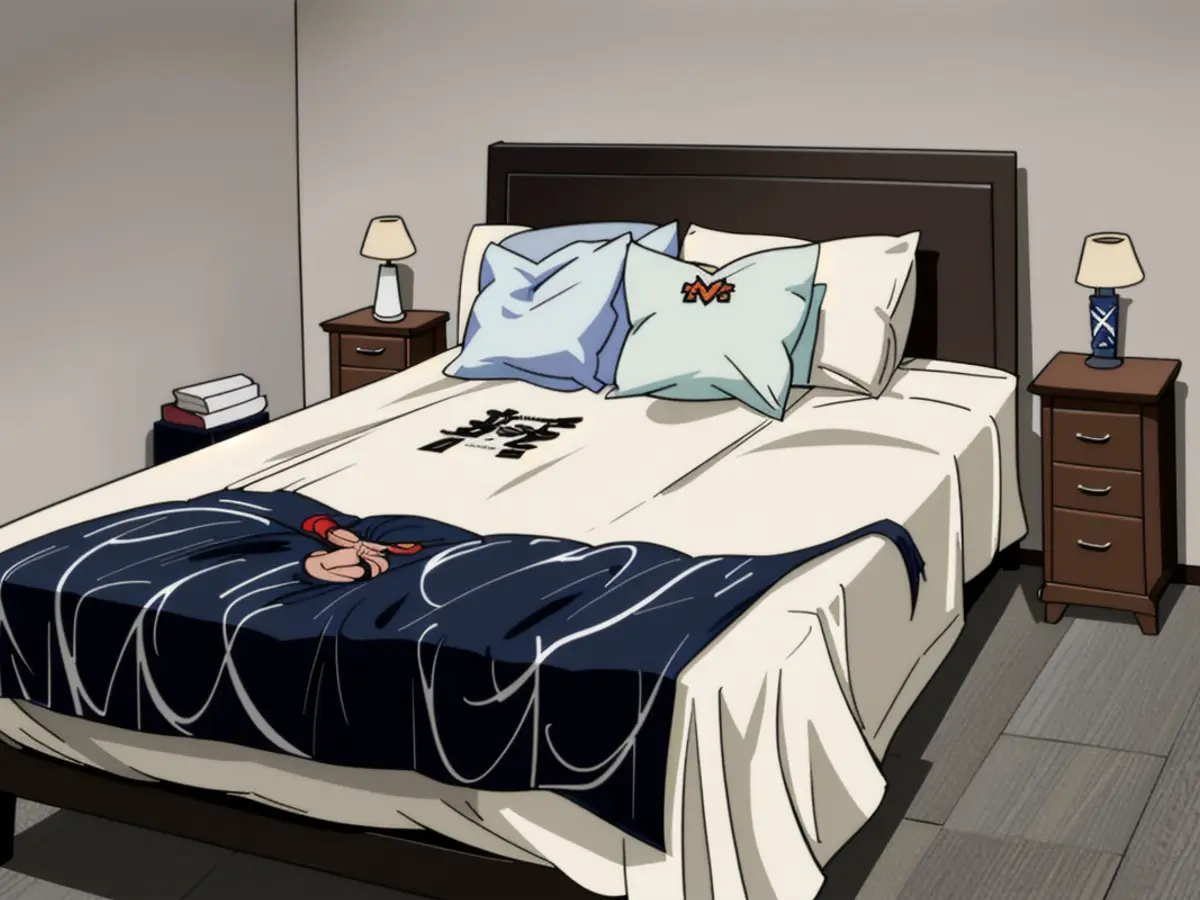 Evaluator's sleep setup A critic's sleep setup