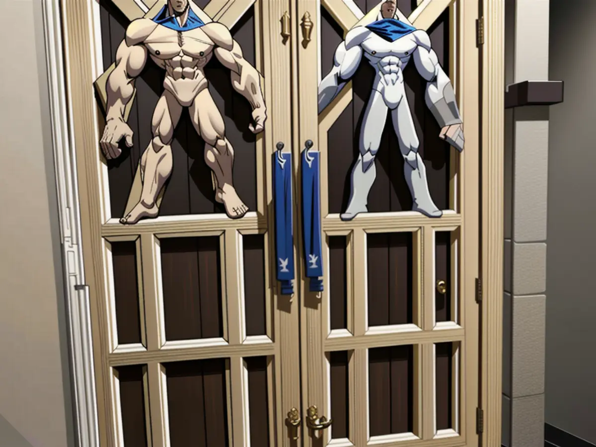 Detailed picture of the bathroom cabinet, adorned with complex locks and doorways. Image of intricately adorned bathroom cabinet doors, as seen by a reviewer.