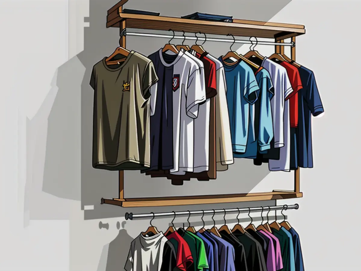 Two-tier clothing storage setup, featuring a pair of hanging rods and two upper levels as shelves. Custom wardrobe featuring two vertical rods for hangable garments and two overhead shelves for storage.