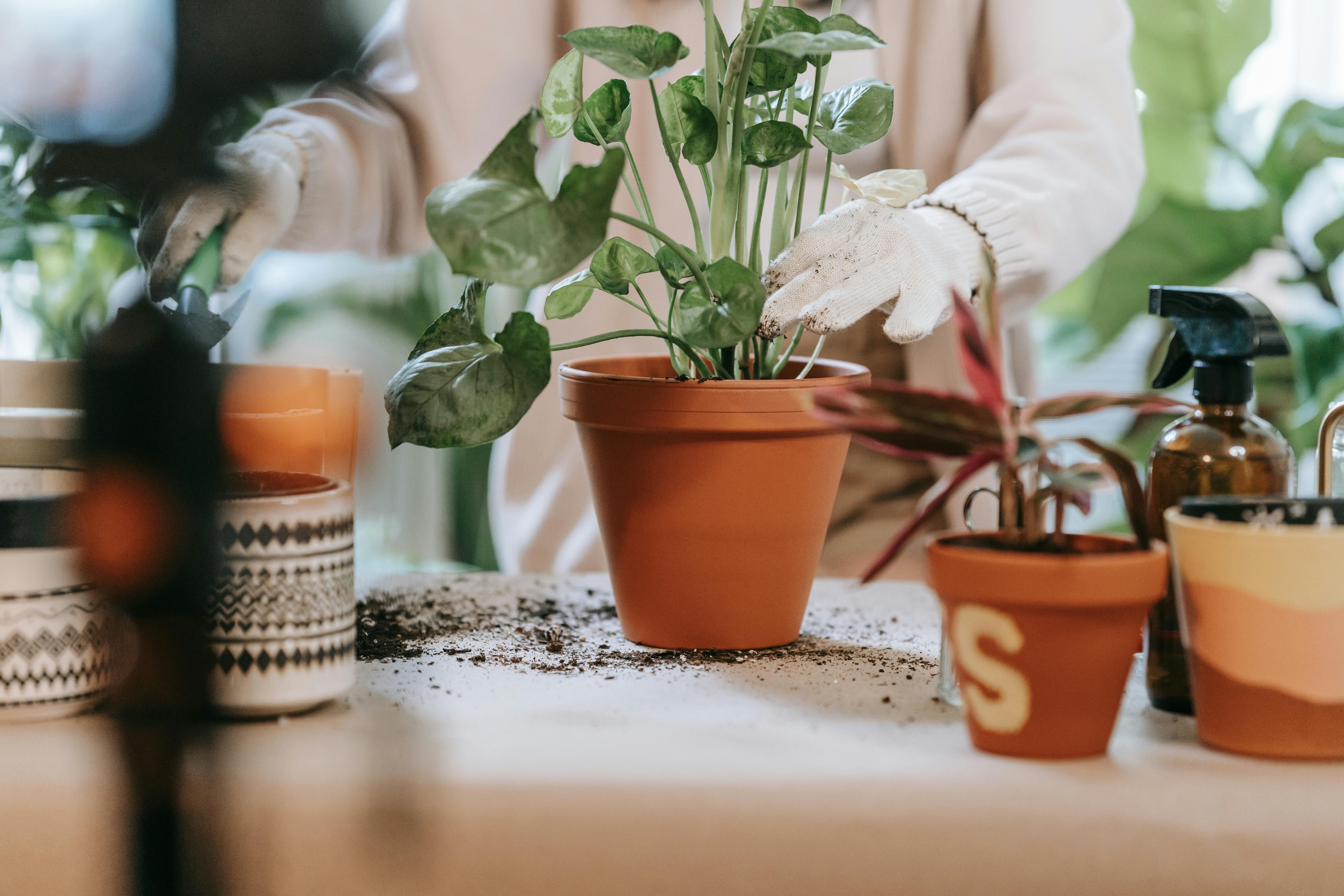 Gardening accessory kit inclusive of a flowery tote, protective gloves, a misting device, and assorted implements. Ideal for avid gardeners. Set comprising flowery tote bag, gloves, misting container, and diverse garden instruments – tailor-made for passionate horticulturists.