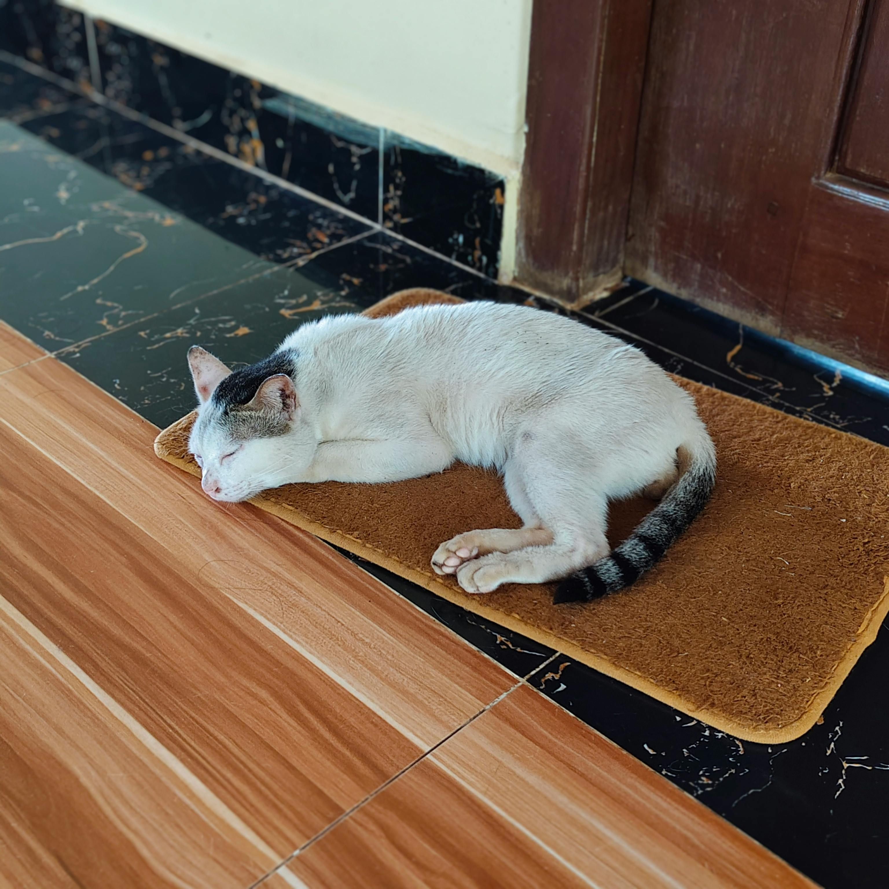 welcome mat underfoot Welcome mat underfoot, offering easy entry.