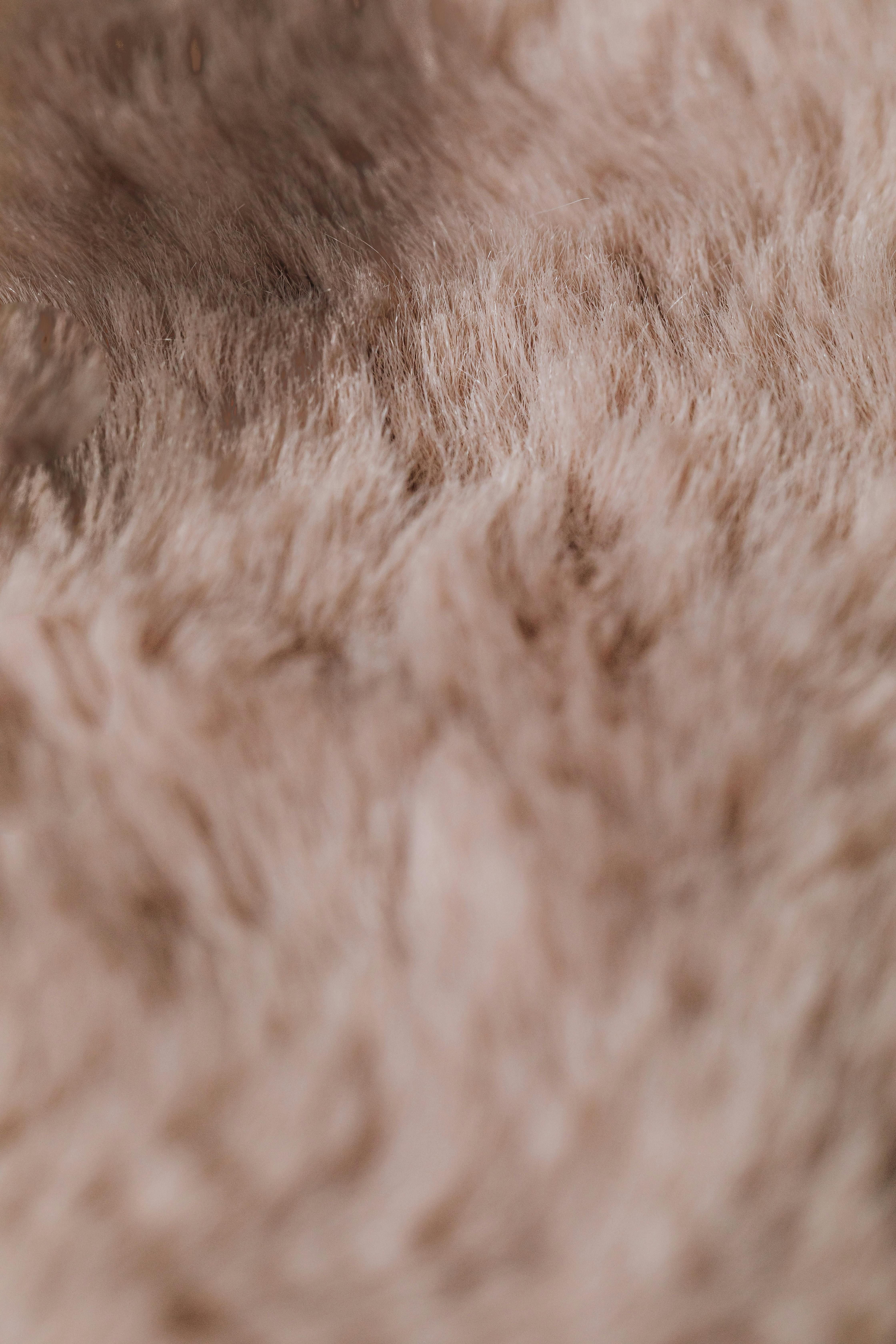 Afterward, no trace of pet hair visible on the cushion. Afterwards, the same cushion free from any noticeable pet hair.