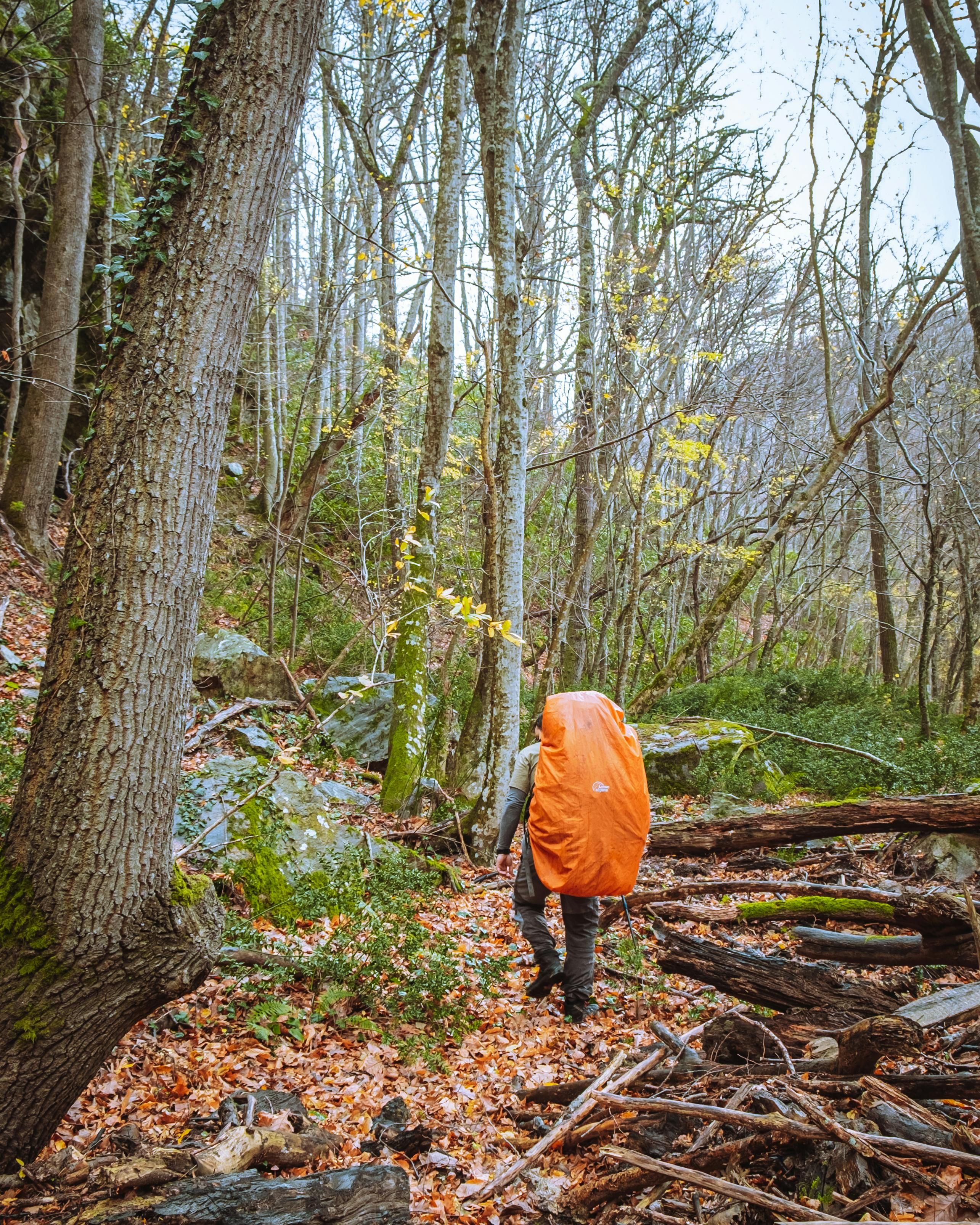 Hiker sports an orange backpack on a trail hike in Hawaii. Individual ventures on a hiking trail in Hawaii, sporting an orange-hued backpack of identical design.