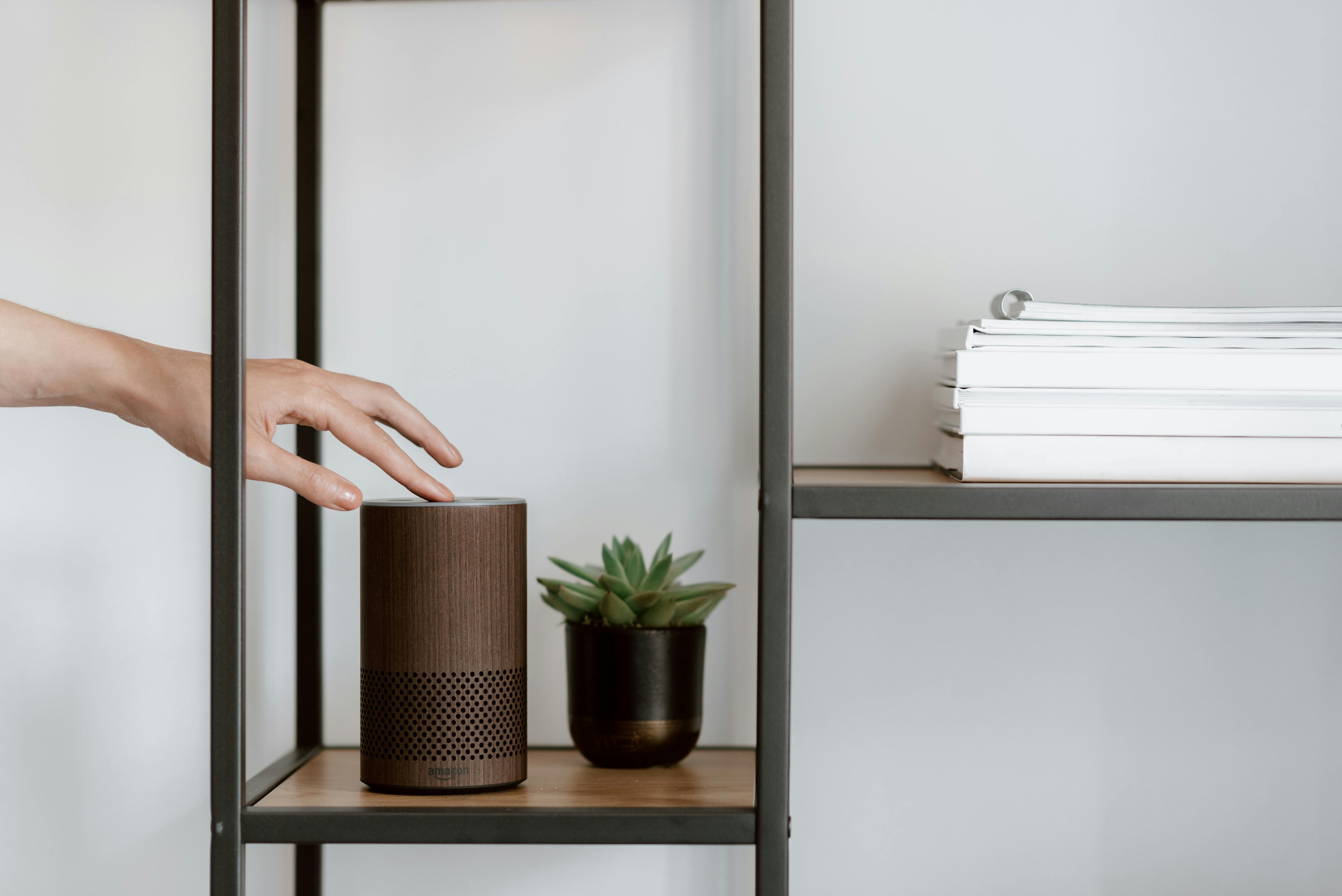 Revealing a concealed tech setup: Gold and tan books revealed as concealed wifi box and Alexa device.