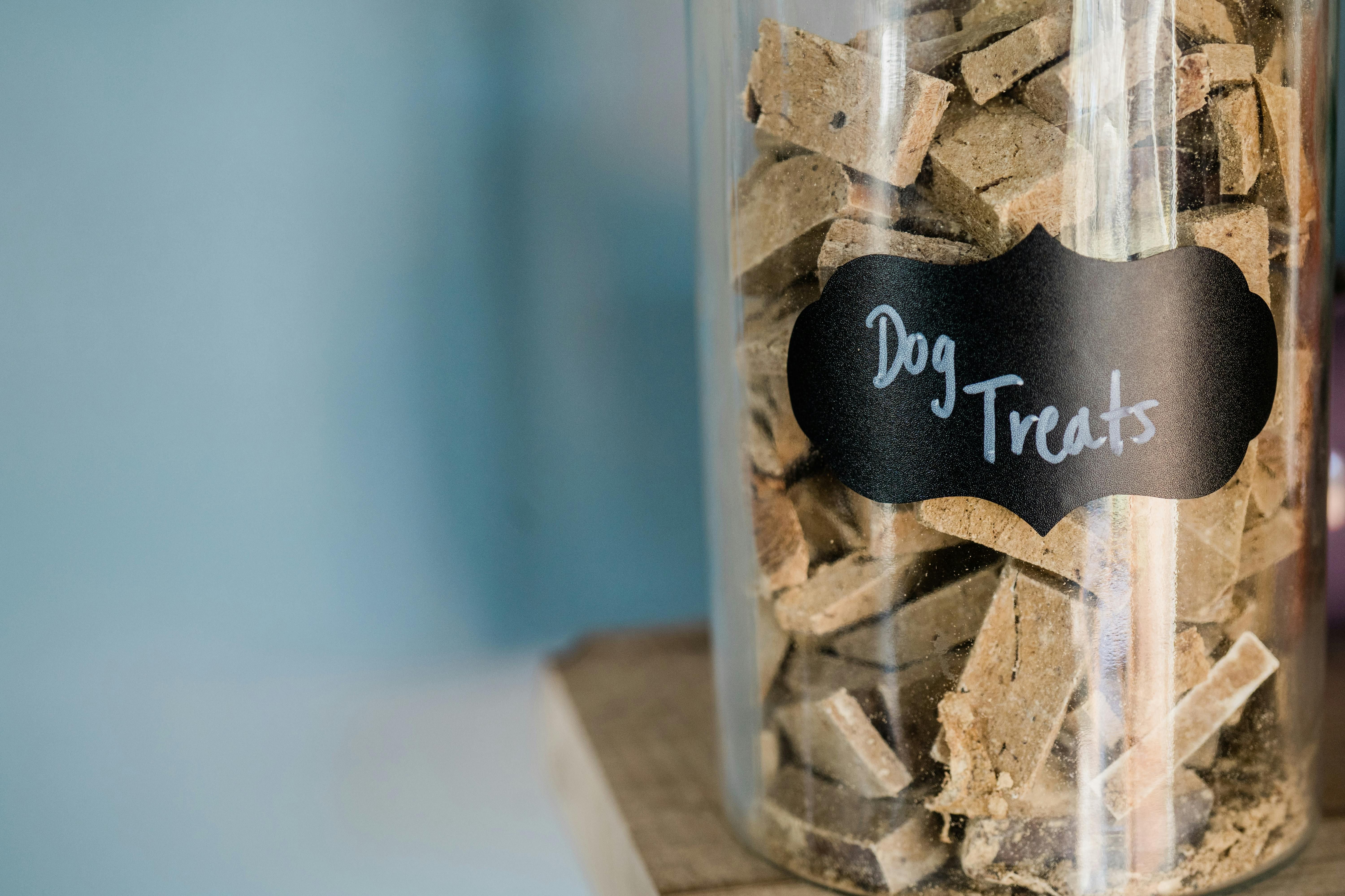 Two-part storage bin with blue covers, holding dry pet food in both sections. Two-tier blue-lidded storage bin, filled with dry pet food in each compartment.