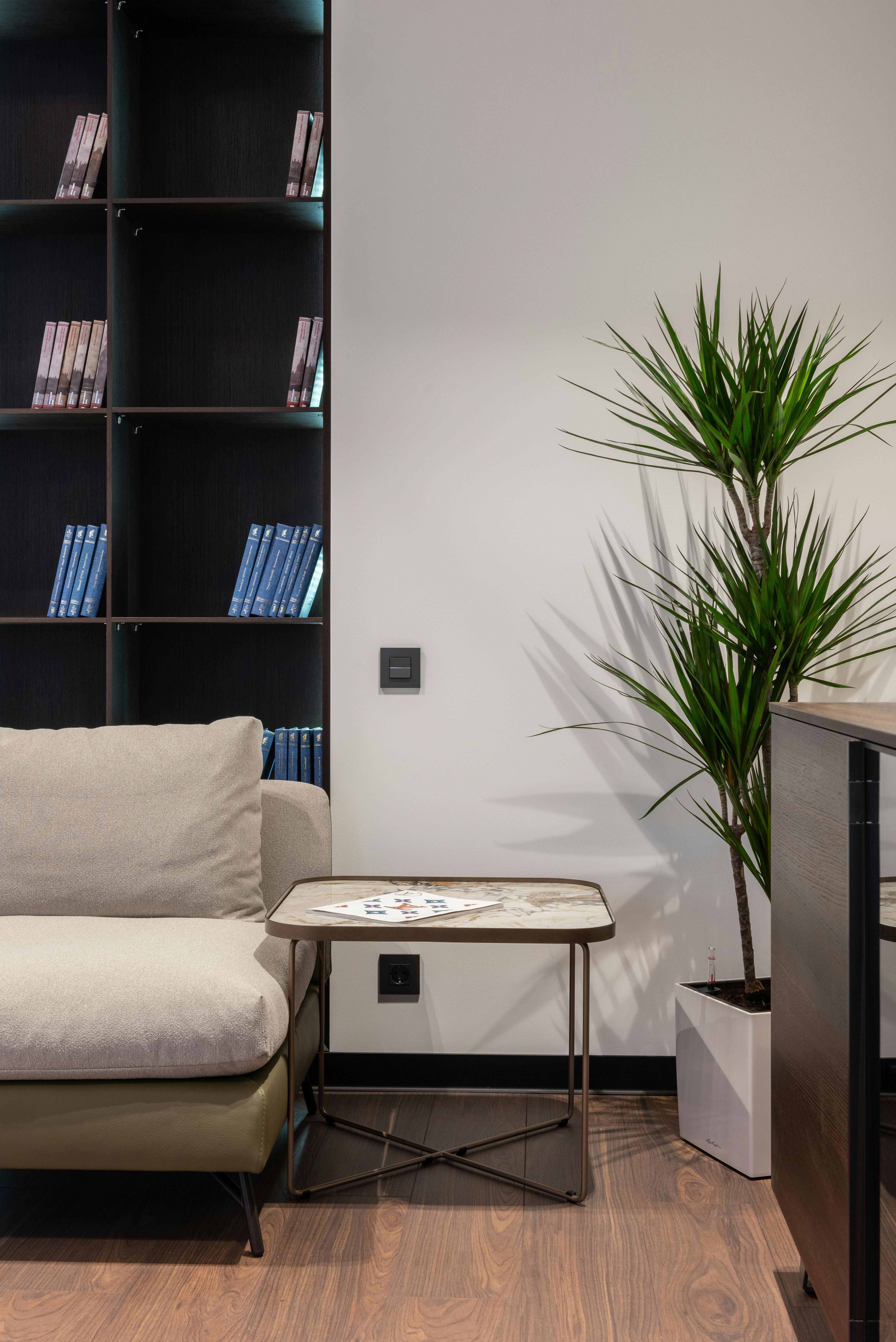 Spaciouscontemporary lounge boasting a taupe leather couch adorned with pillows, a gleaming acrylic side table displaying literary works, and a verdant planted pot situated nearby. Tan leather sofa and cushions adorn a contemporary living space, accompanied by a sleek acrylic side table displaying books and a greenery-enhancing potted plant nearby.