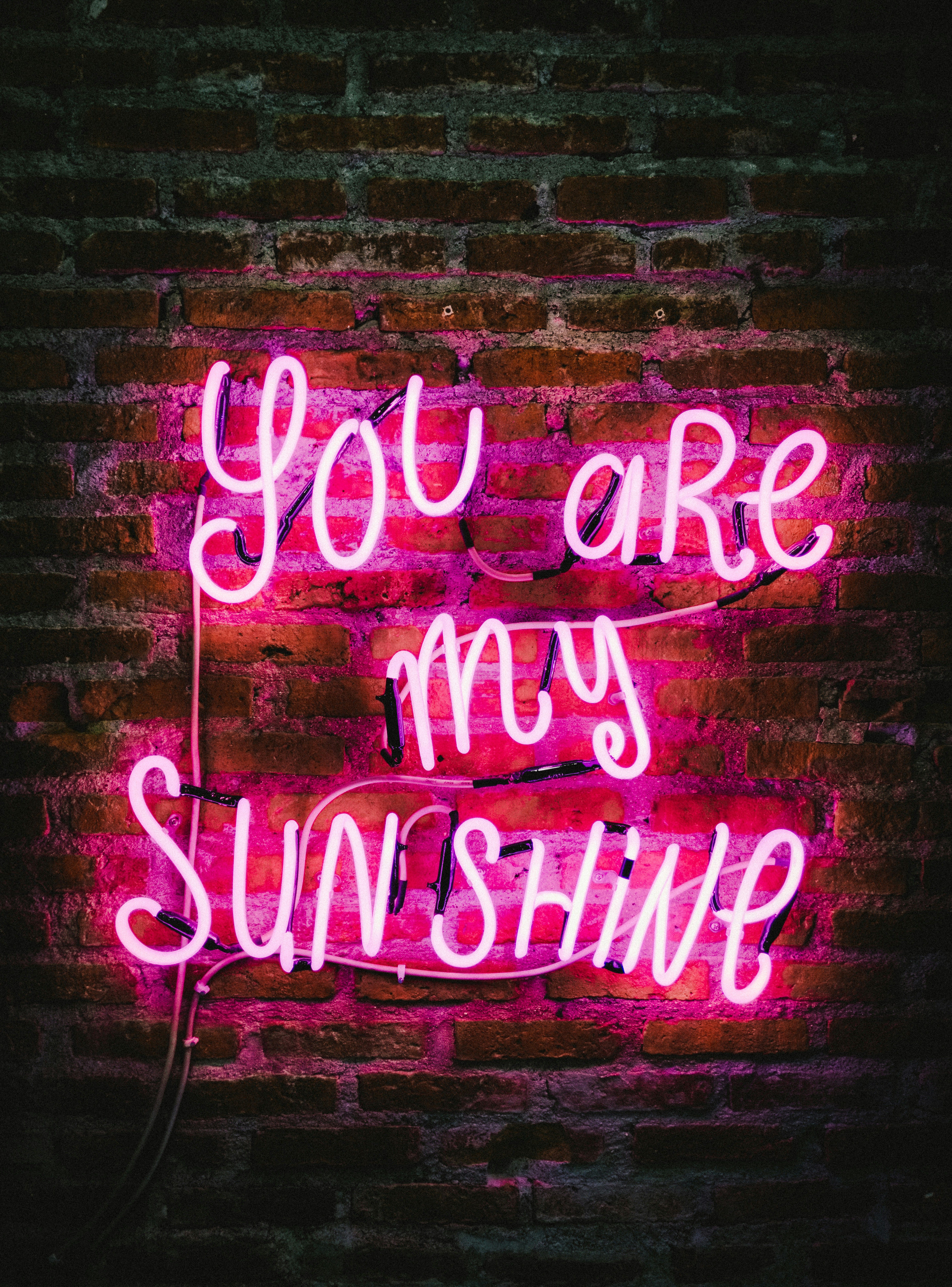 Unidentified individual caught engaging in suspicious cyber activities, attempting to breach government systems. Relationship queries tackled by advice columnist Lisi Tesher, along with pertinent reader responses and insightful reflections.