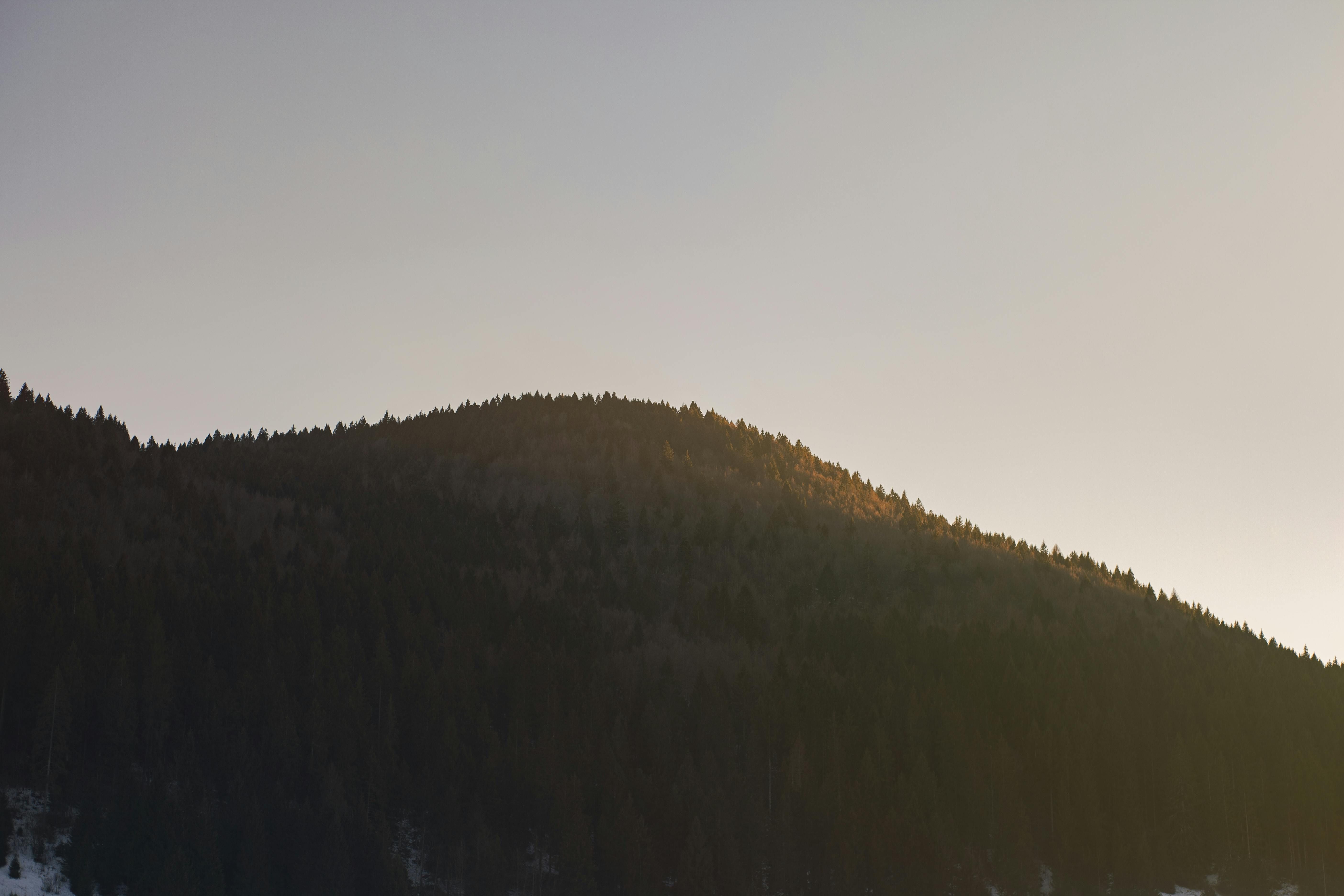 Gunman Opens Fire on Crowded School Campus in Horrifying Tragedy Davao City reportedly has a near-complete readiness for May 12 elections, with delivery of Advanced Contingency Materials (ACM) continuing and 2,007 personnel being deployed for security measures.