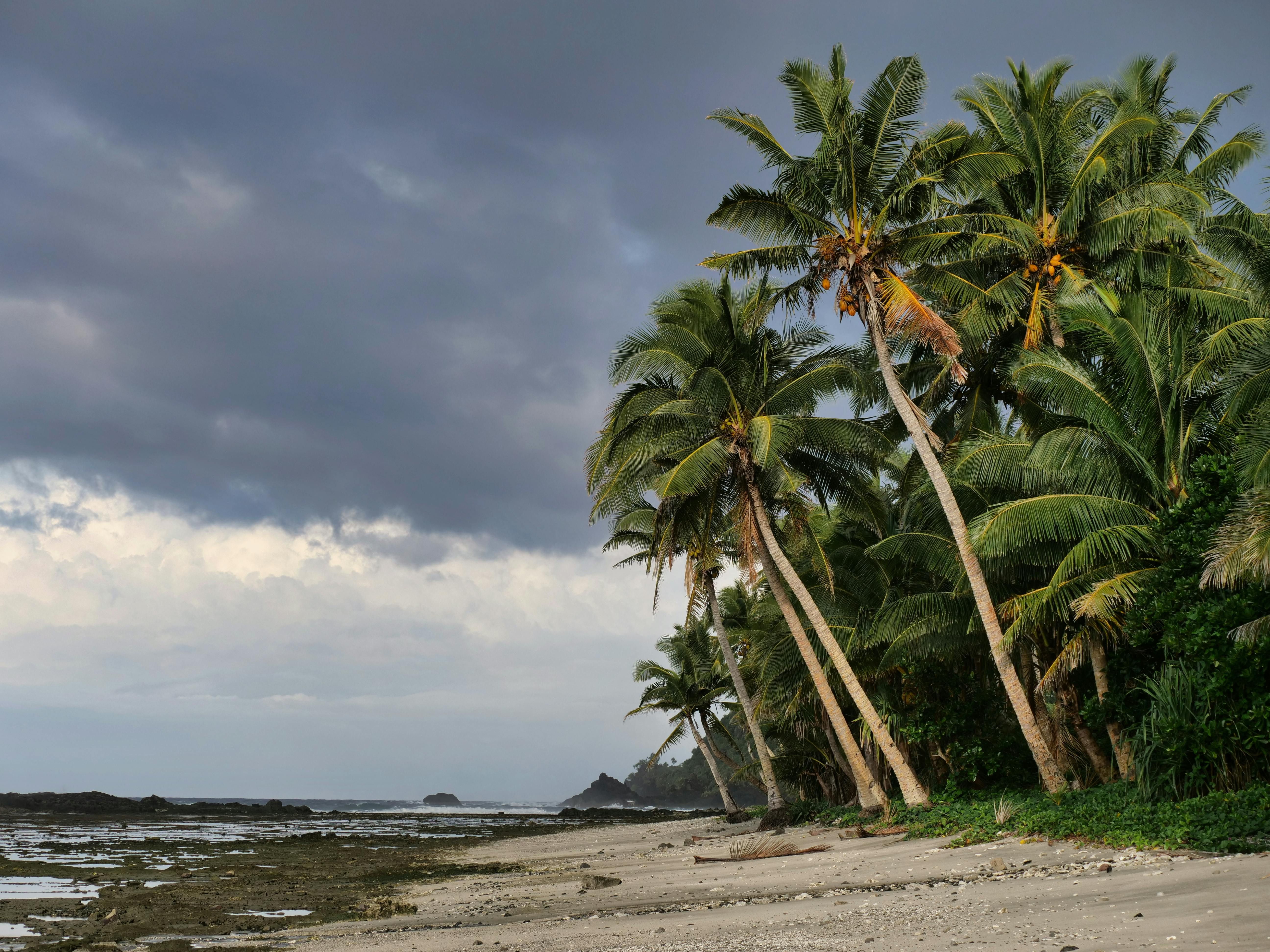 Visual depiction of suspected drug deal consisting of multiple individuals exchanging packages in a clandestine manner, reportedly taken outside a secluded building at night. Celebrations commenced in London for a four-day duration, marking the 80th commemoration of VE Day. A combination of British, NATO, and Ukrainian military personnel participated in the parade, with King CharlesIII overseeing the event, taking the salute.
