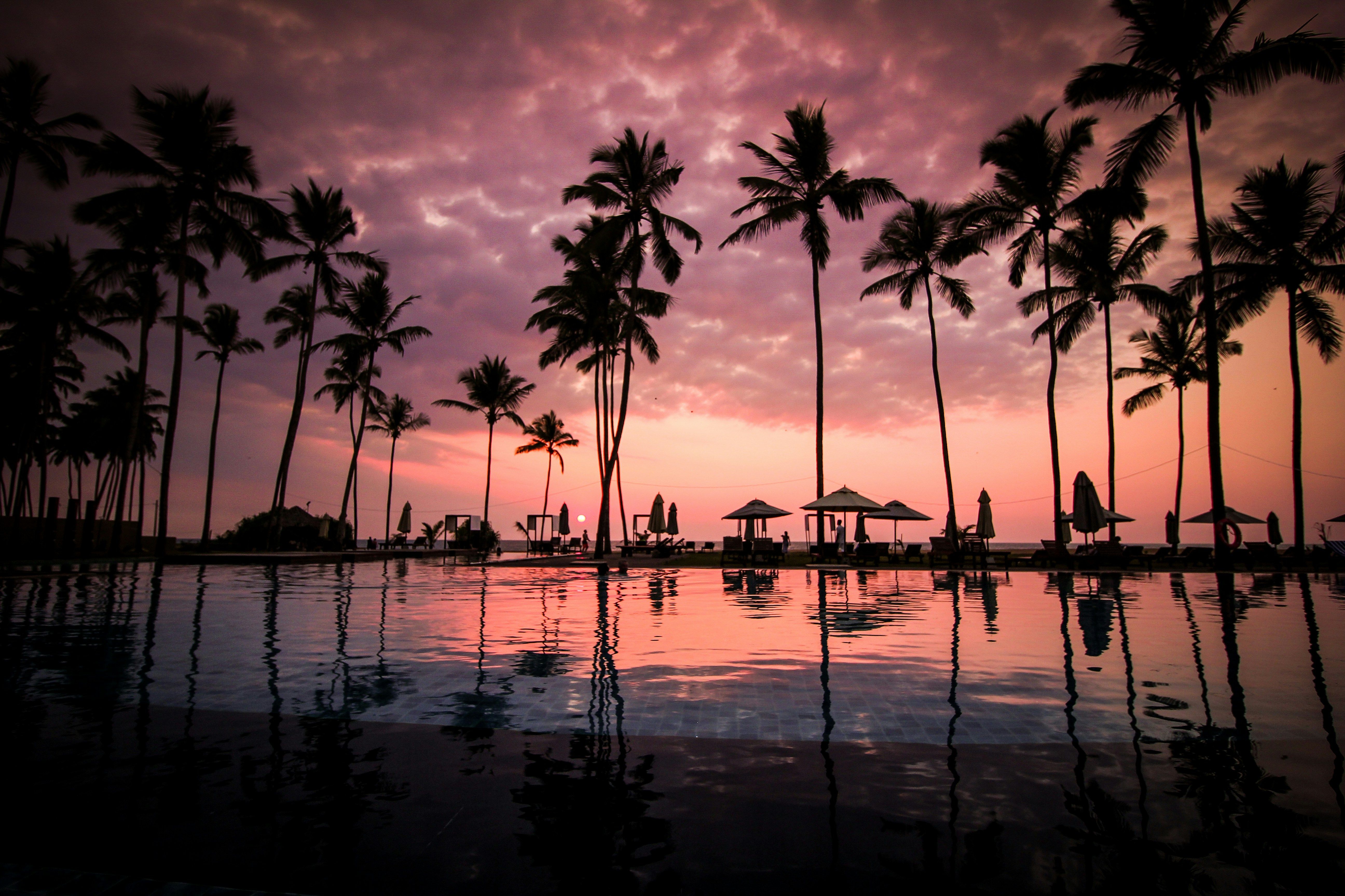 The upcoming Ocean Conference, slated for Nice from June 9 to 13, 2025, joins the highly significant environmental events lined up for the year, specifically the climate conference, COP30, scheduled for Belém, Brazil in November. These two gatherings stand out as the key environmental conferences amidst the global calendar for 2025.