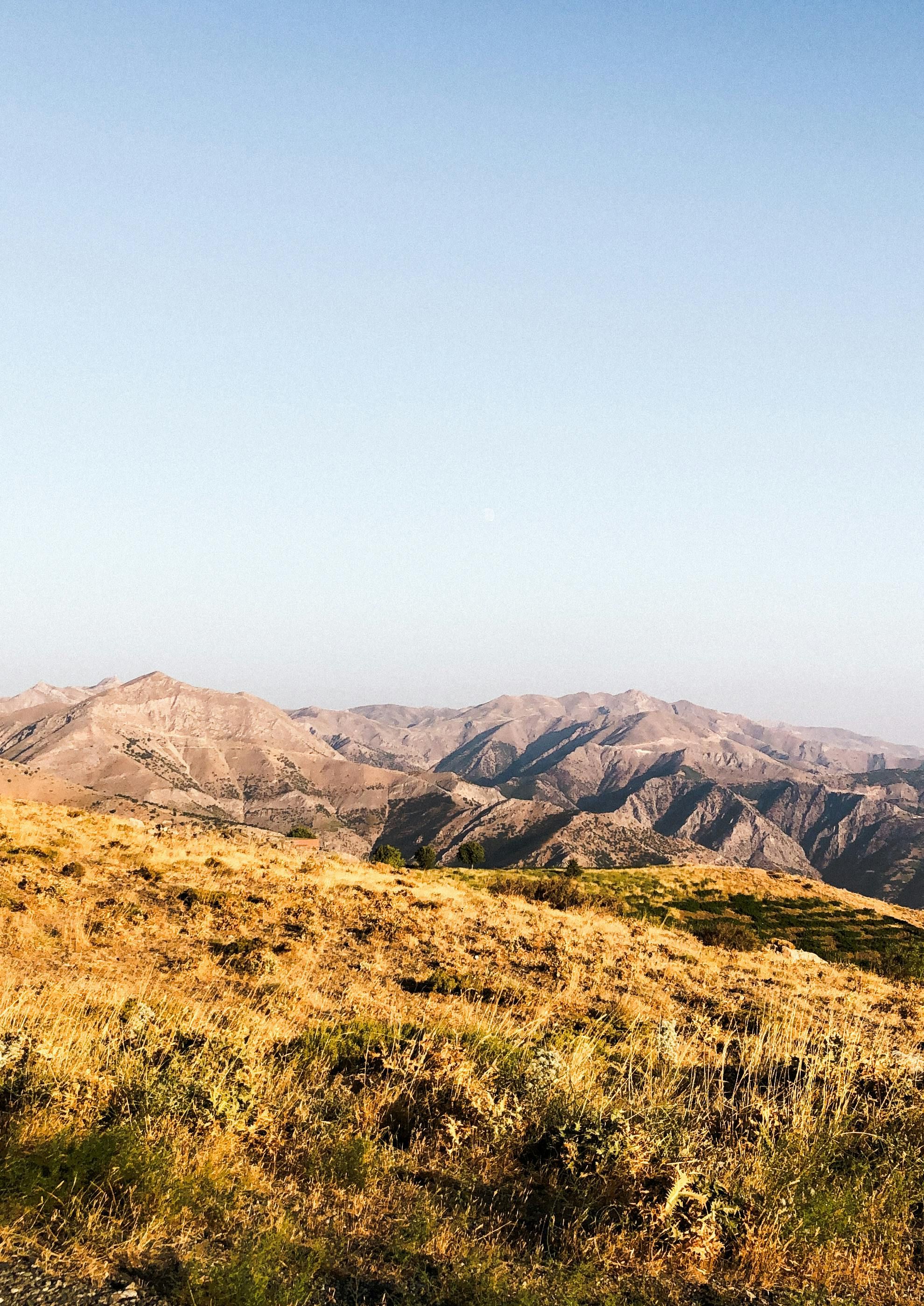 Picture depiction: Protesters clashing violently with riot police in city streets, hurling rocks and erecting barriers. Government officials inside a fortified building, surrounded by chaos and unrest, conferring urgently. Gang of top-tier jockeys allegedly combine forces to initiate an international horse racing union. This new league, slated for global debut in prominent racing arenas later in the year, boasts equestrian icons like Frankie Dettori, Ryan Moore, and Will.