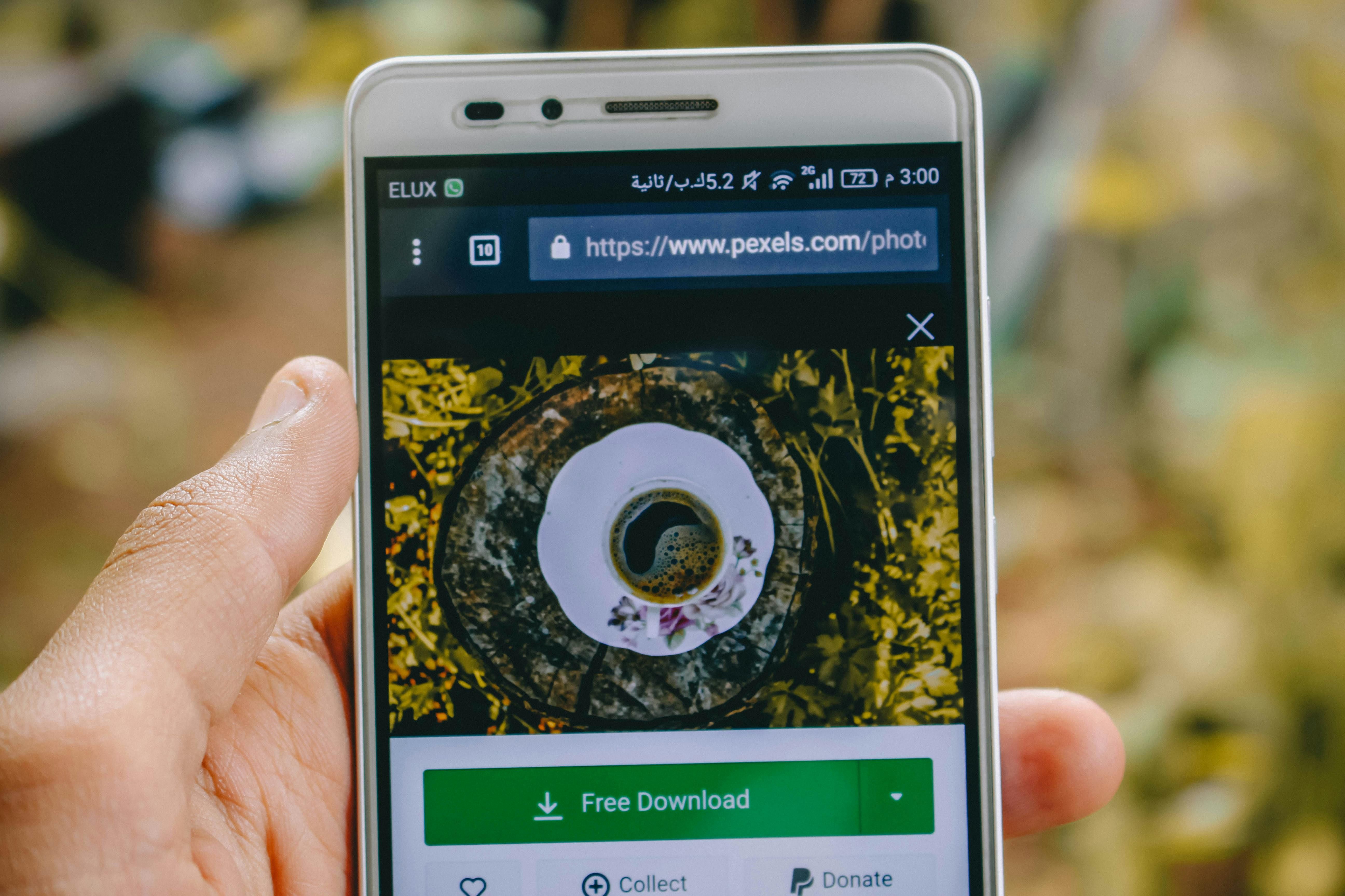 Launch Your Winning Betting Journey in American Football: Learn fundamental principles and sophisticated tactics from this thorough manual.