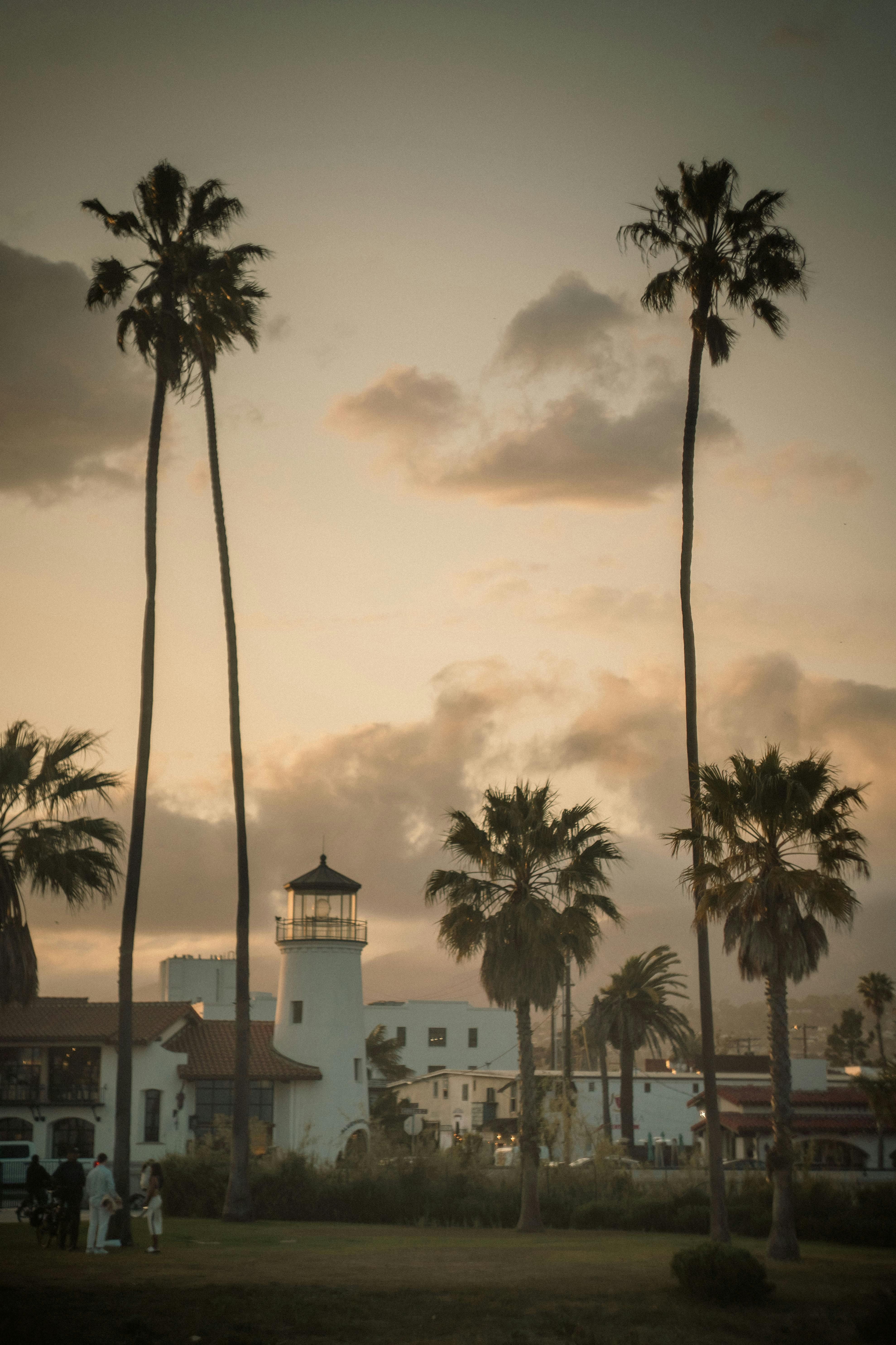 Returning German journalist Marc Etzold, following a two-year stint in Washington, finds himself...