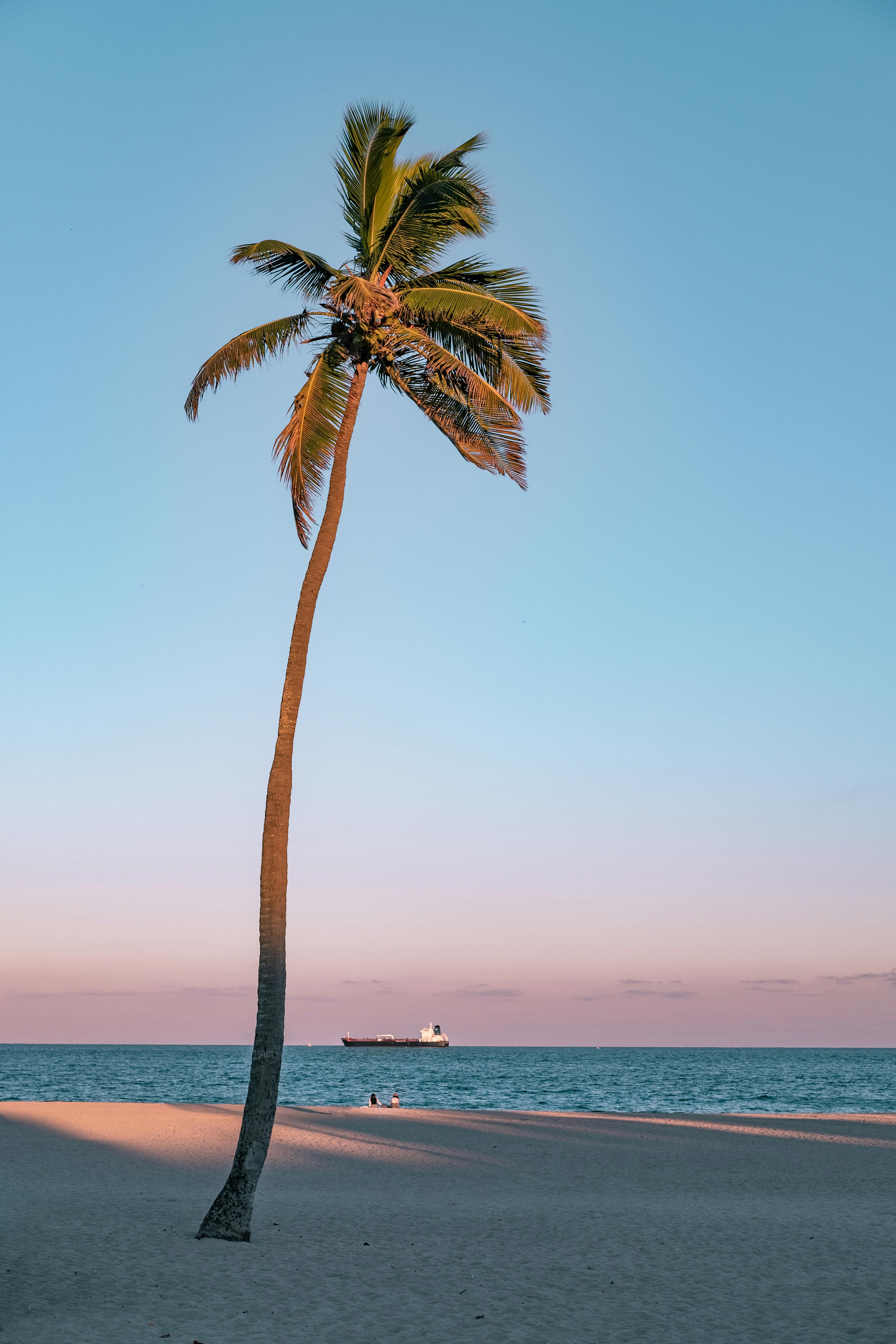 Significant labor agreement revealed, antagonistic opioid trafficking legislation unveiled, diminished asylum applications, plus additional headlines from Denmark on this Monday.