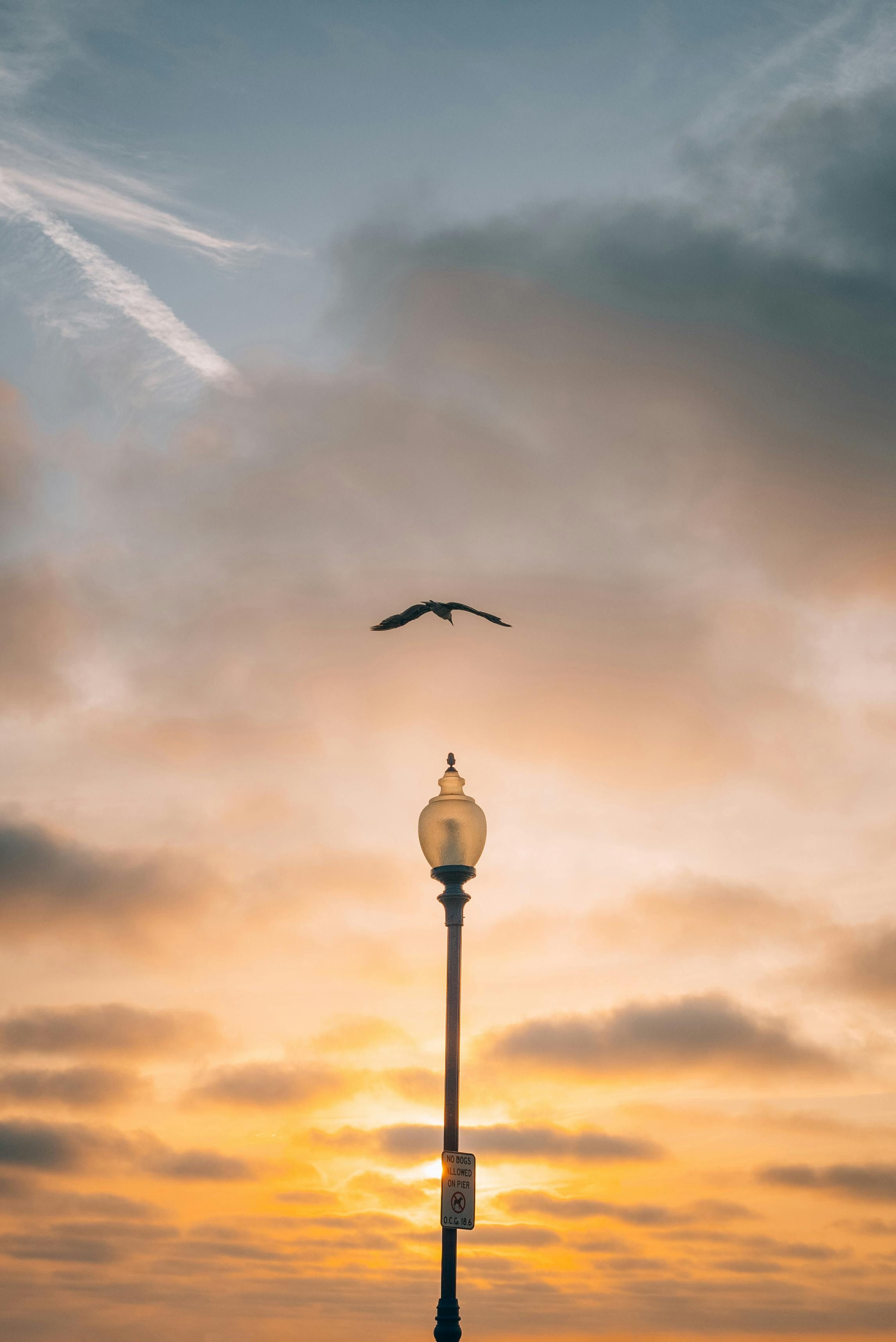 Suspect arrested for hacking into company's database and stealing sensitive data. State Duma Legislation Committee Chair Discussed with Political Observer from Our Website