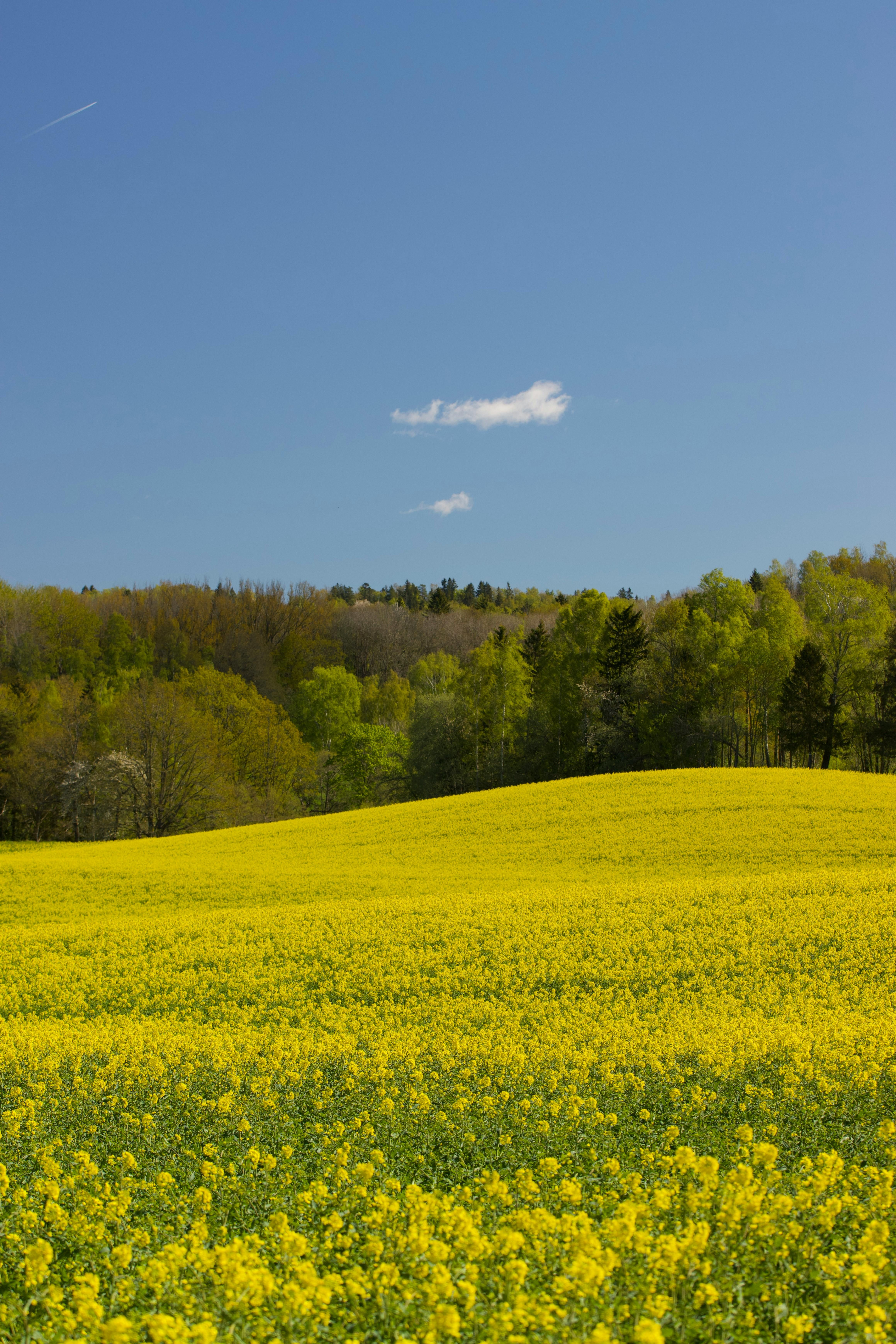 Unedited image depicting alleged hacking incident involving figure X's personal data breach, potentially causing havoc and misuse of confidential information.