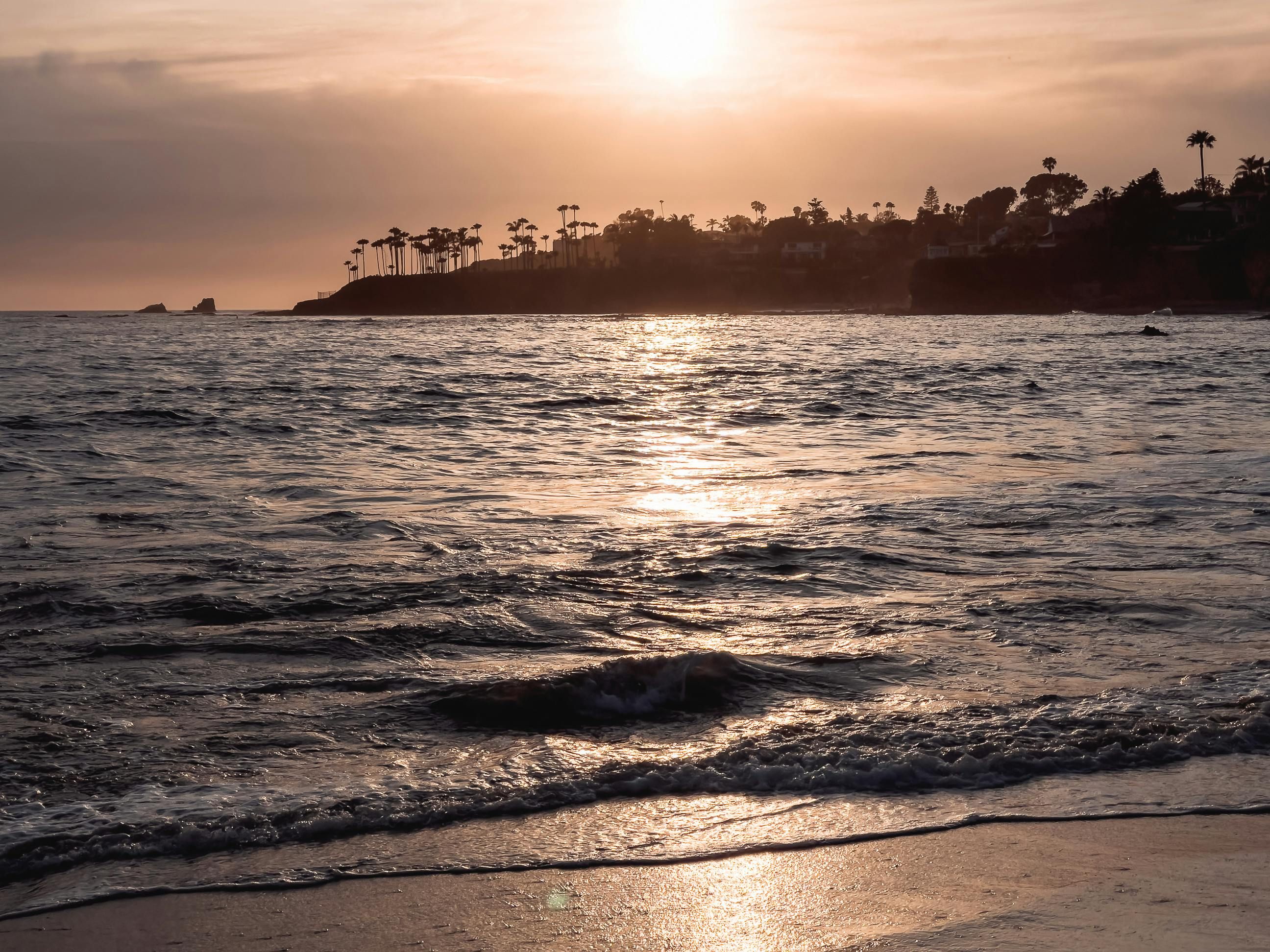 Man, on the loose, steals sensitive data from tech company; investigators struggling to trace him down. Culture Minister advocates against disregarding Algerians and Algeria, encouraging a stance of firmness but without causing harm.