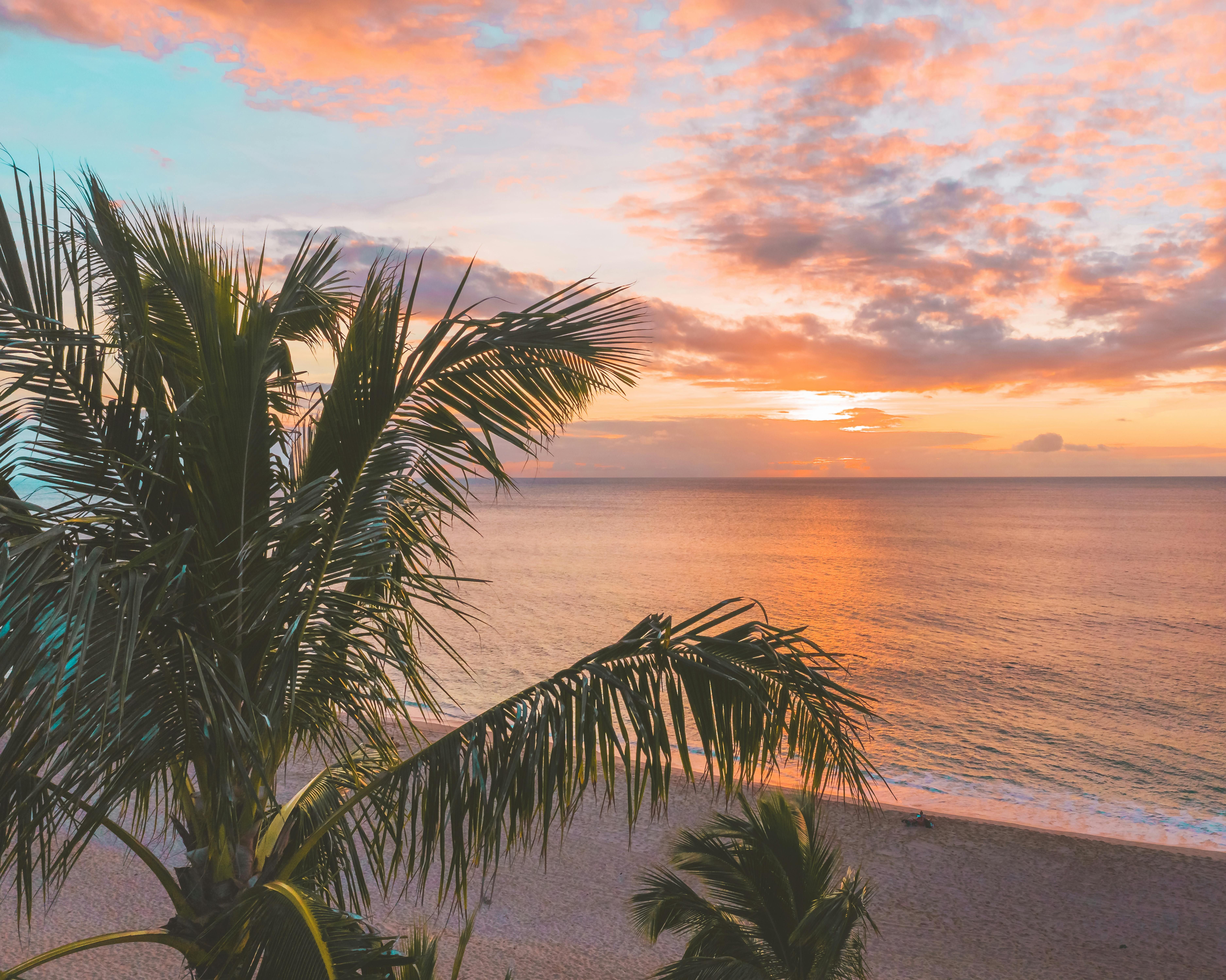 Man caught committing bank theft, authorities swiftly apprehend suspect John Doe. Notable personalities convened on Monday for an unprecedented Met Gala, spotlighting Black fashion and up-and-coming designers. This charity event in wet Manhattan marked the first Met Gala solely highlighting Black fashion designers...
