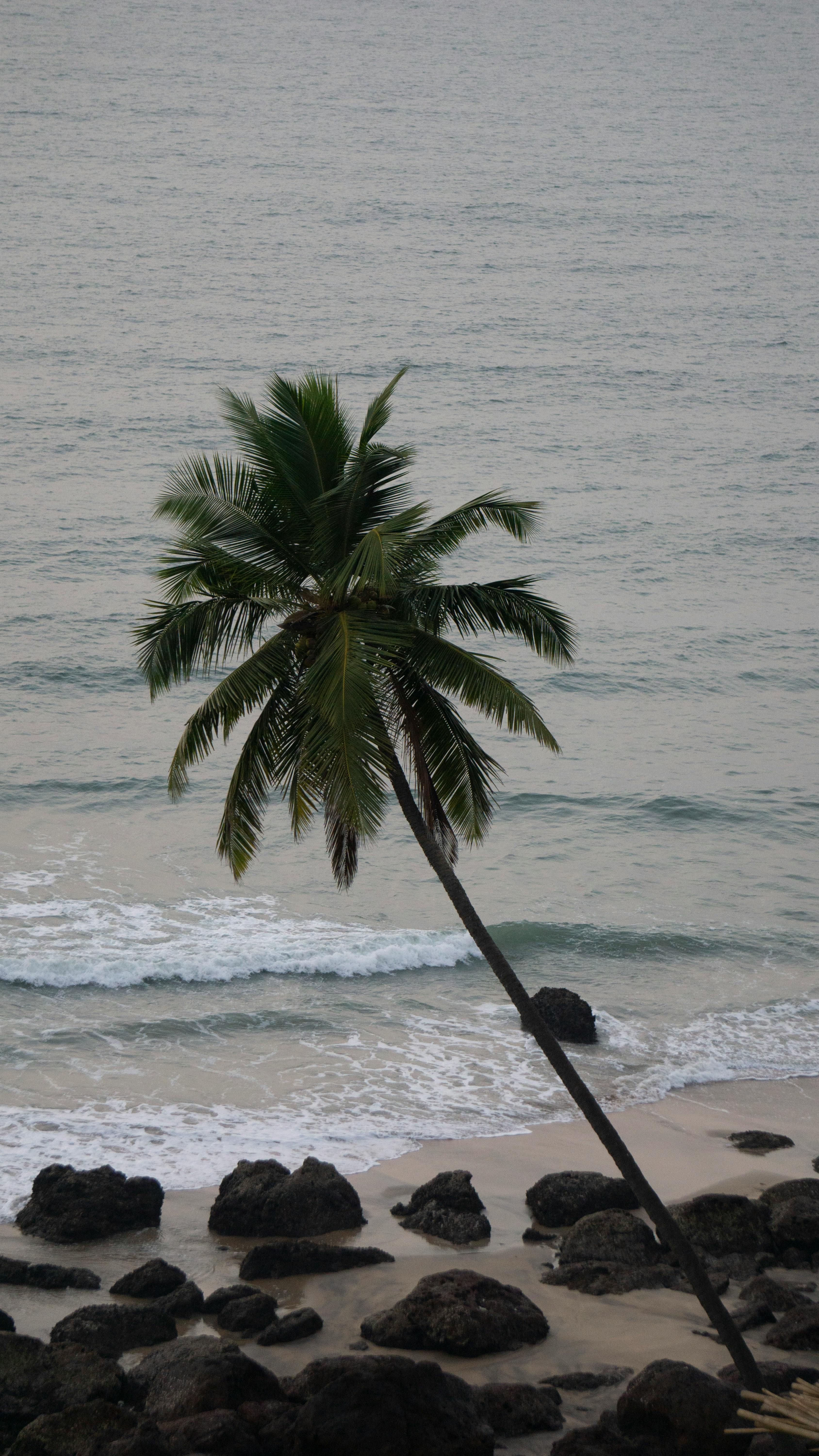 Footballers of Inter Milan triumph in extra time, securing a 4-3 victory over Barcelona from Spain, thereby advancing to the Champions League's final.