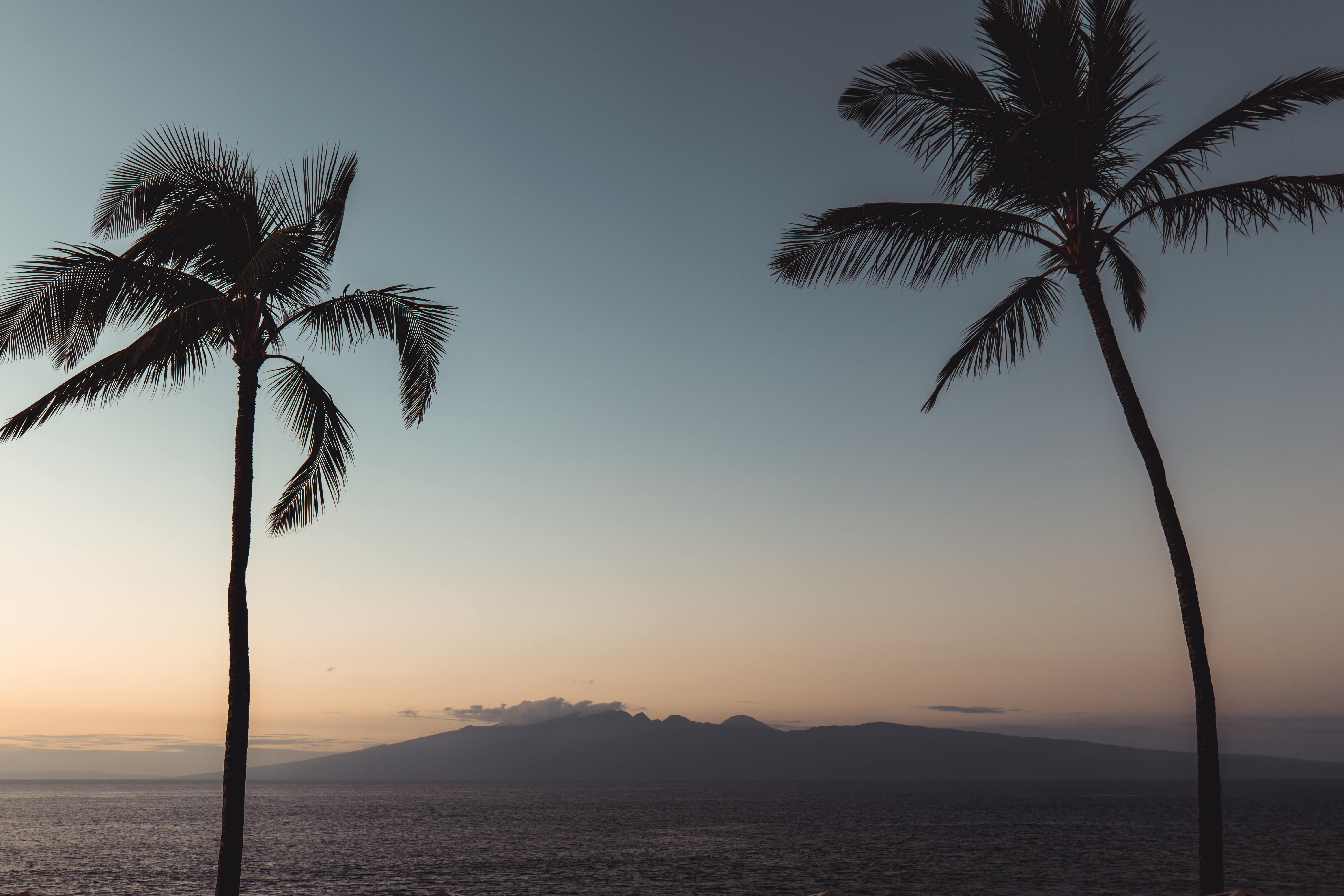 Constitutional adherence urged by Senator Grote in Interior Department, as per photographs from...