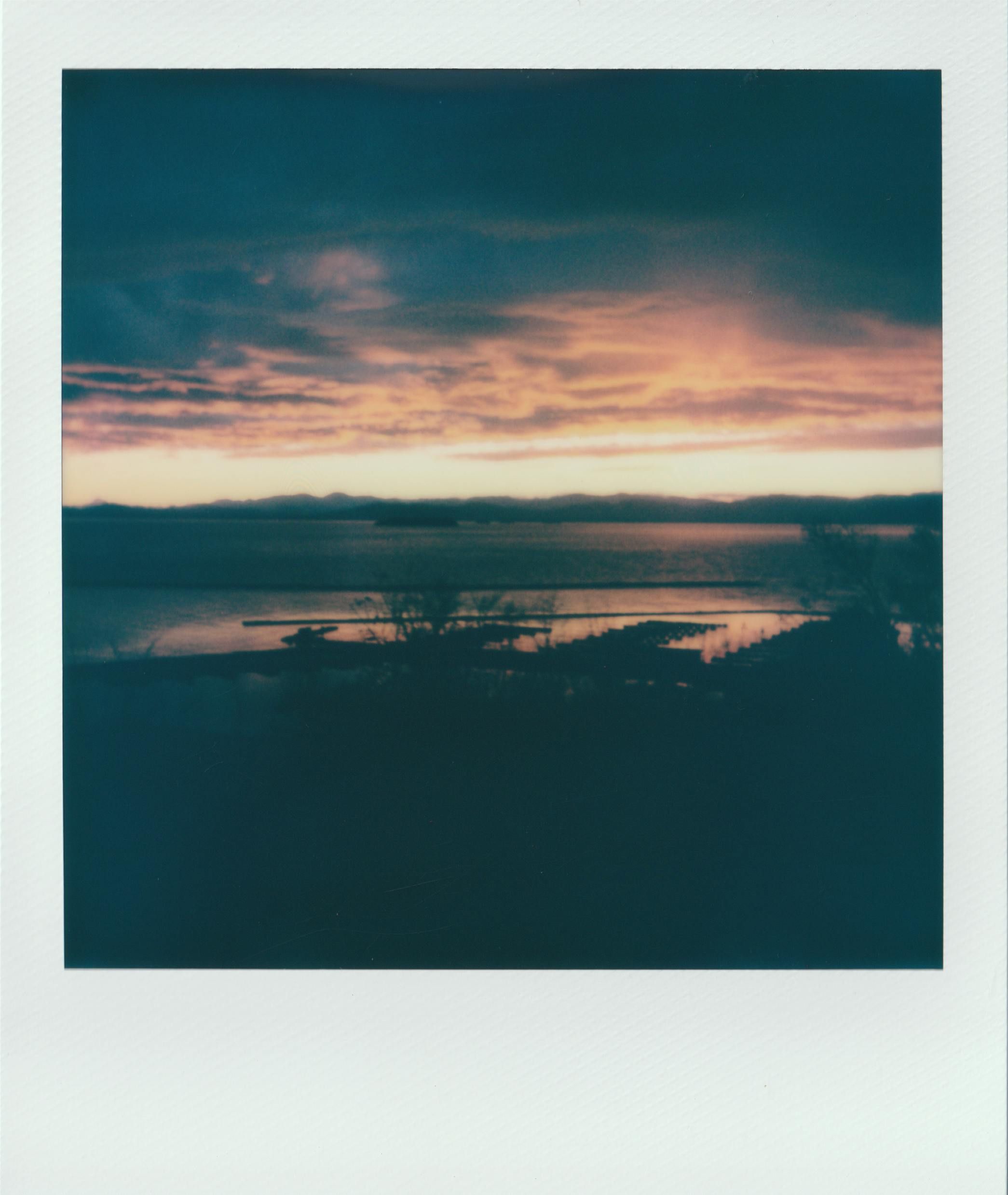 German cultural honors Turkish figure Osman Kavala with the Goethe Medal, a prestigious award from...