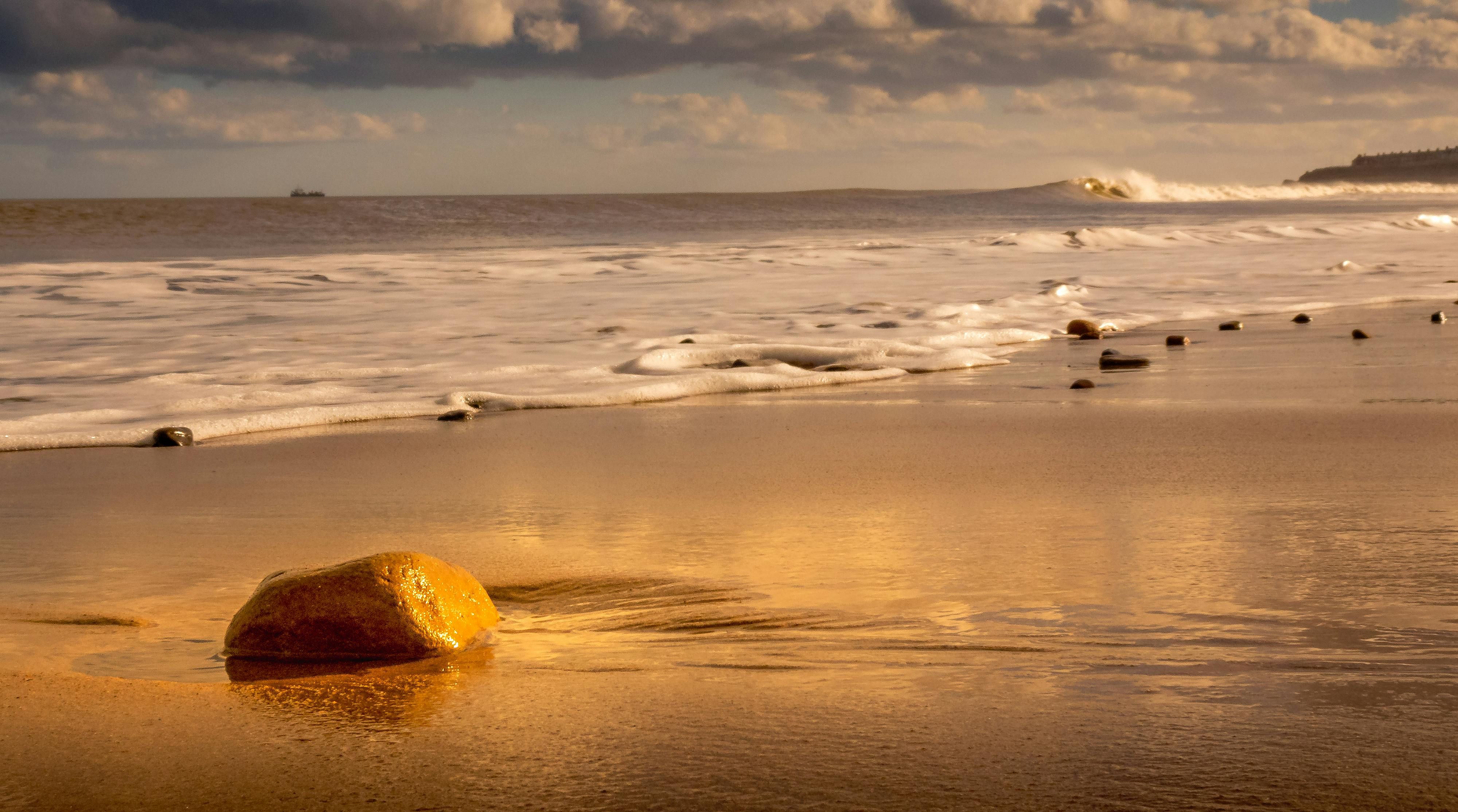 Interior Senator Grote emphasizes civil servants' duty to uphold constitutional principles, as...