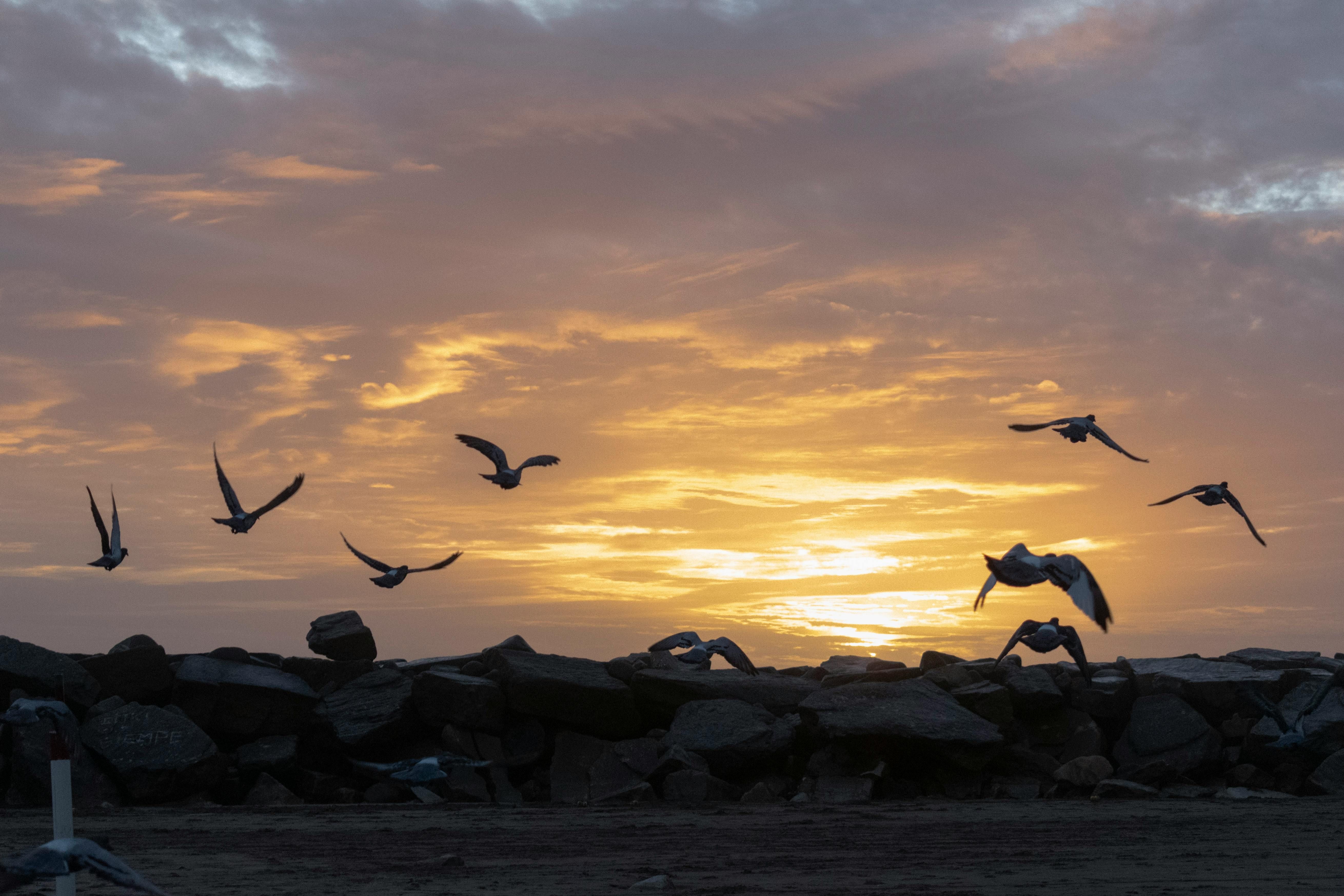 In the Bundestag, Thorsten Frei swears an oath in the presence of Bundestag President Julia...