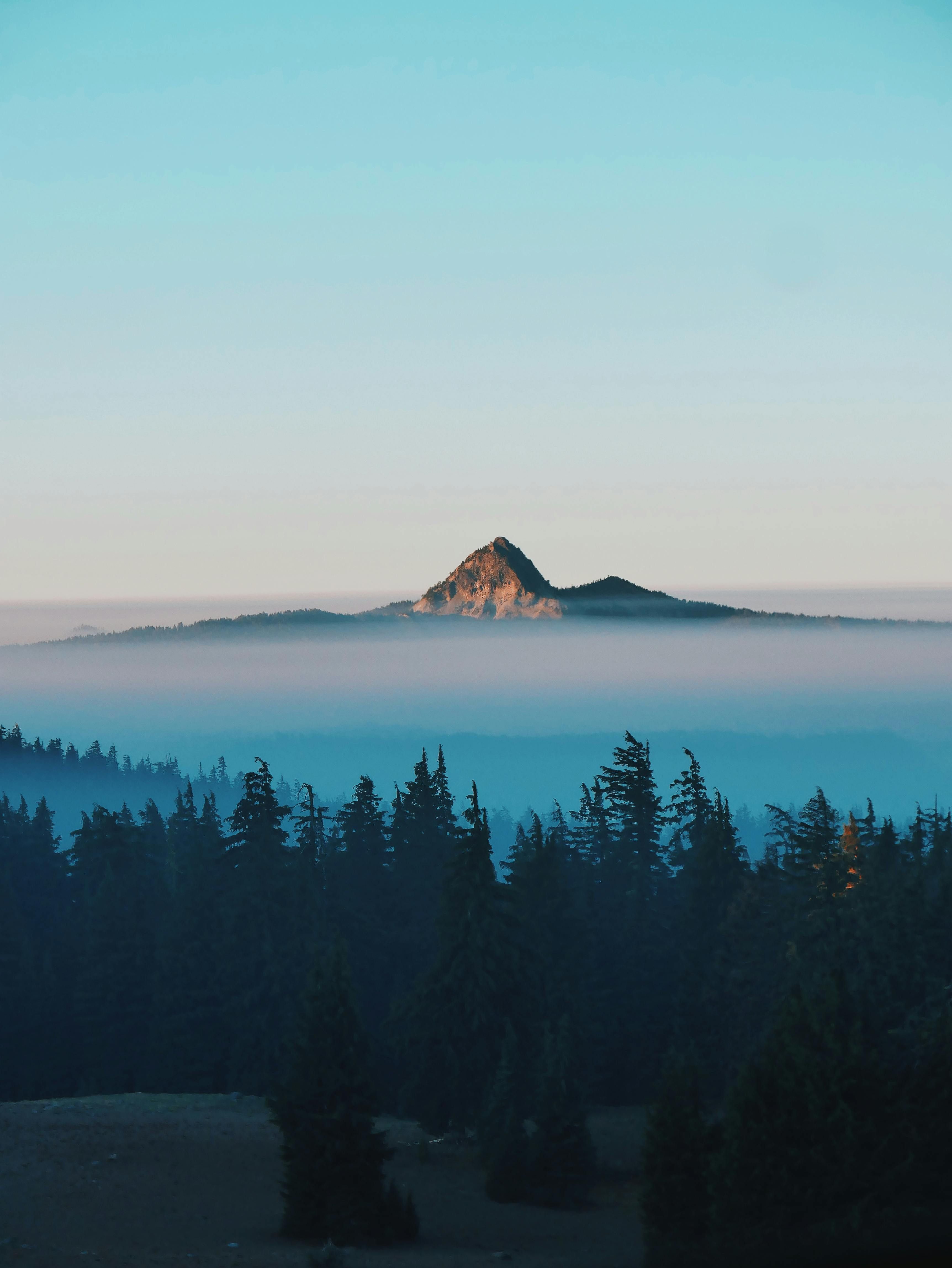 Intensive examinations led by the Frankfurt Prosecutor's Office Reservation Unit have been carried...