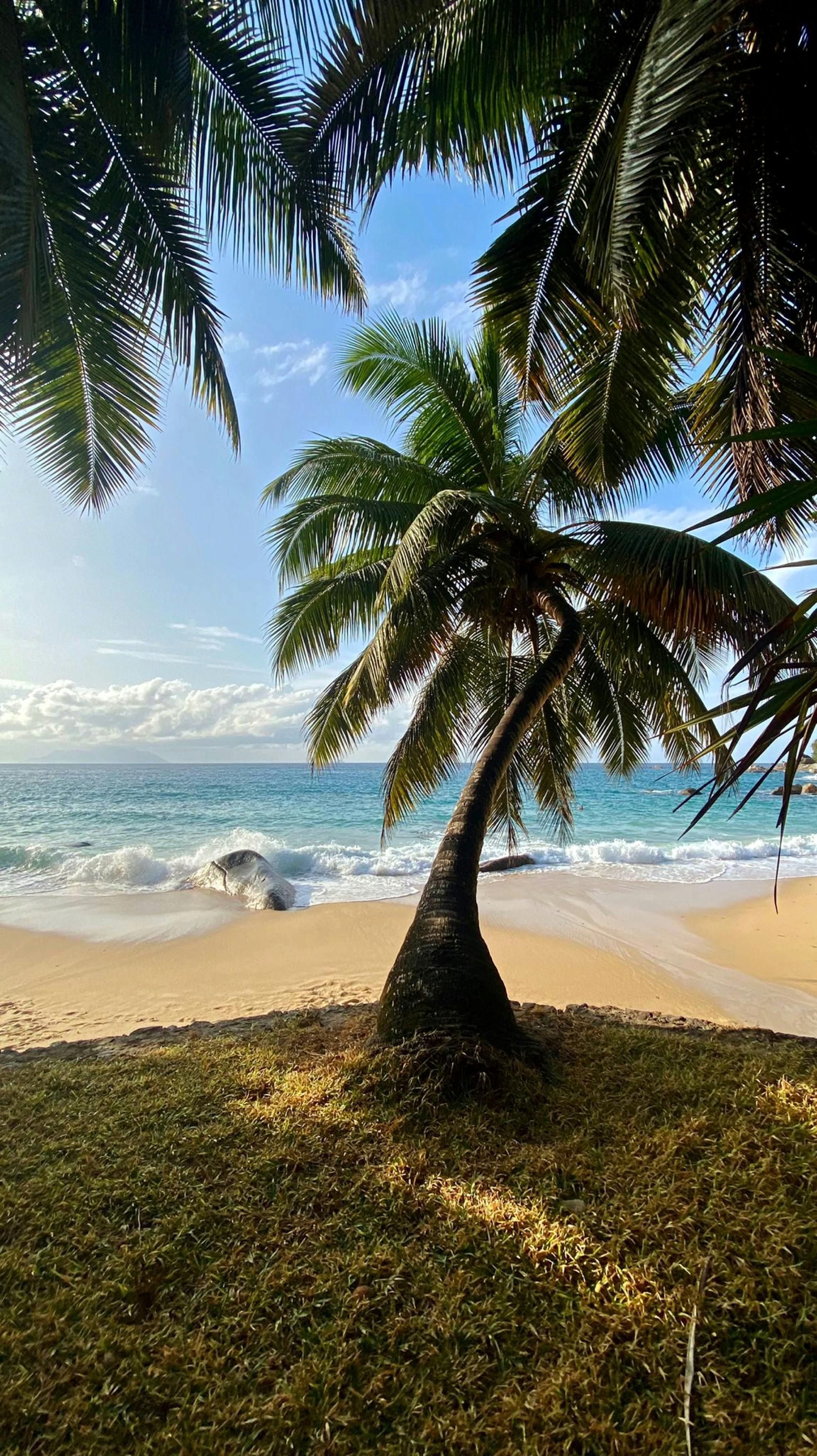 Alexander Churchill attended the remembrance ceremony marking the 80th year since the war's...