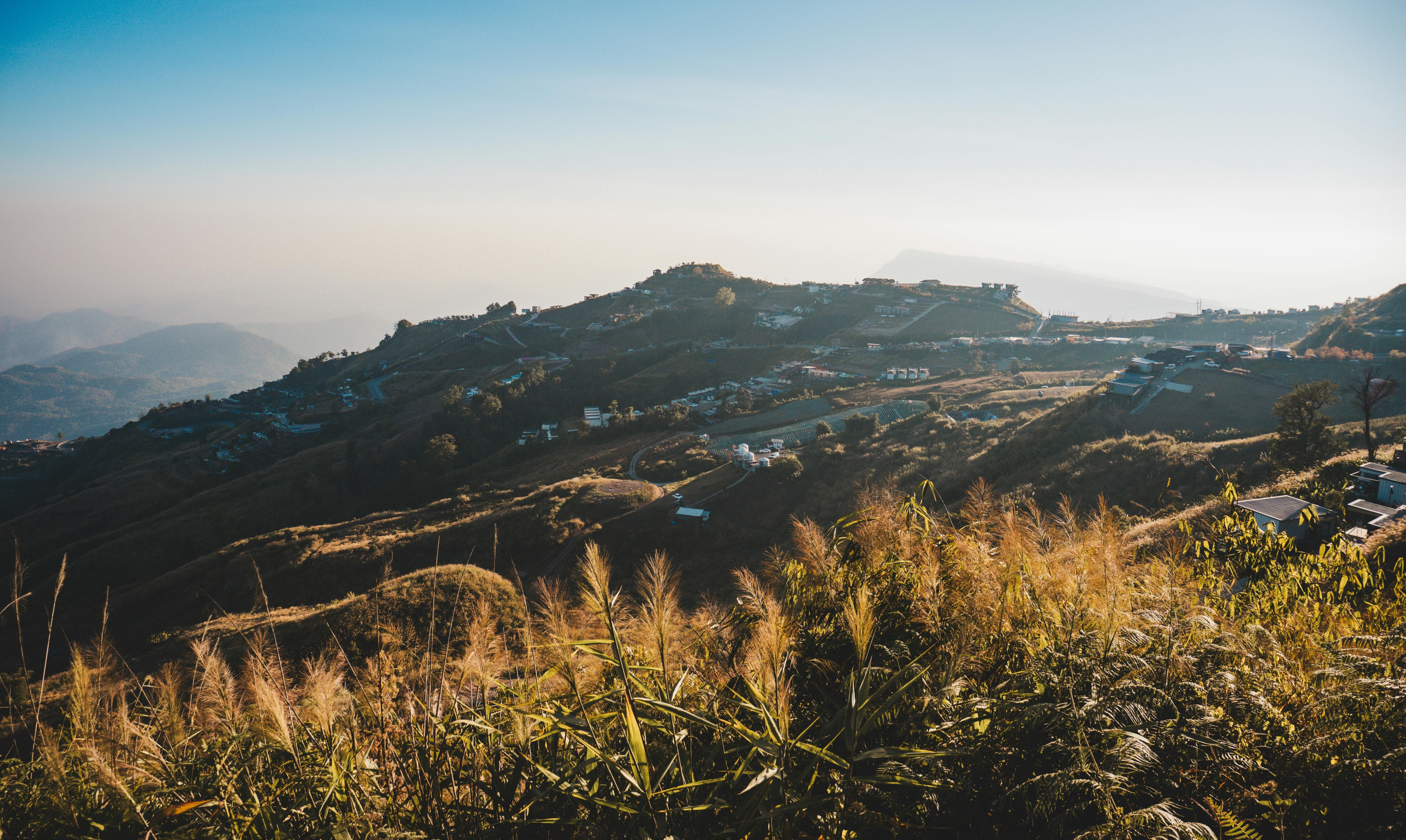 "Let it be a proclamation of peace and optimism"