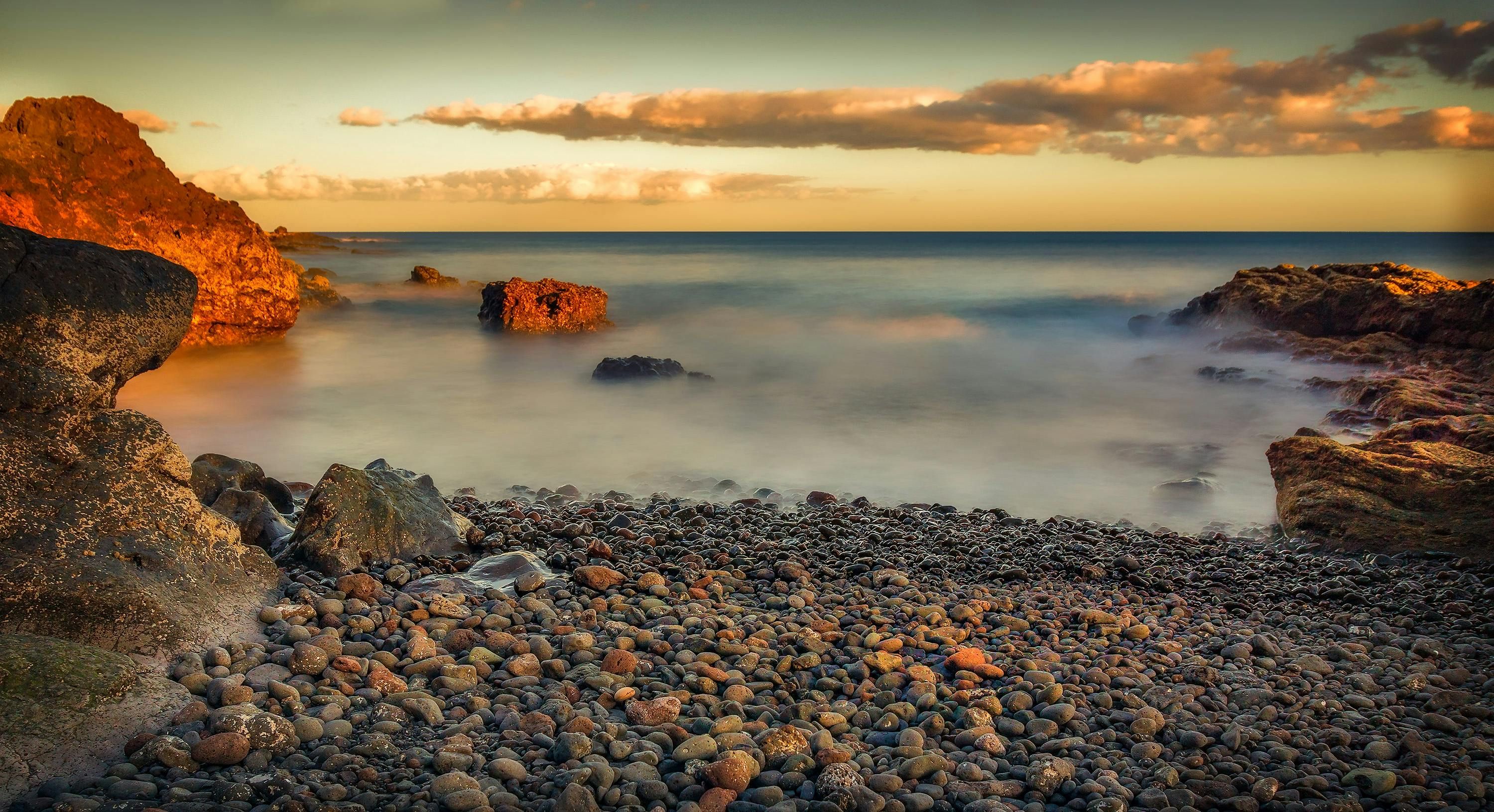 Participants Honored Nazi Victims: Photograph Depicts Commemorative Event
