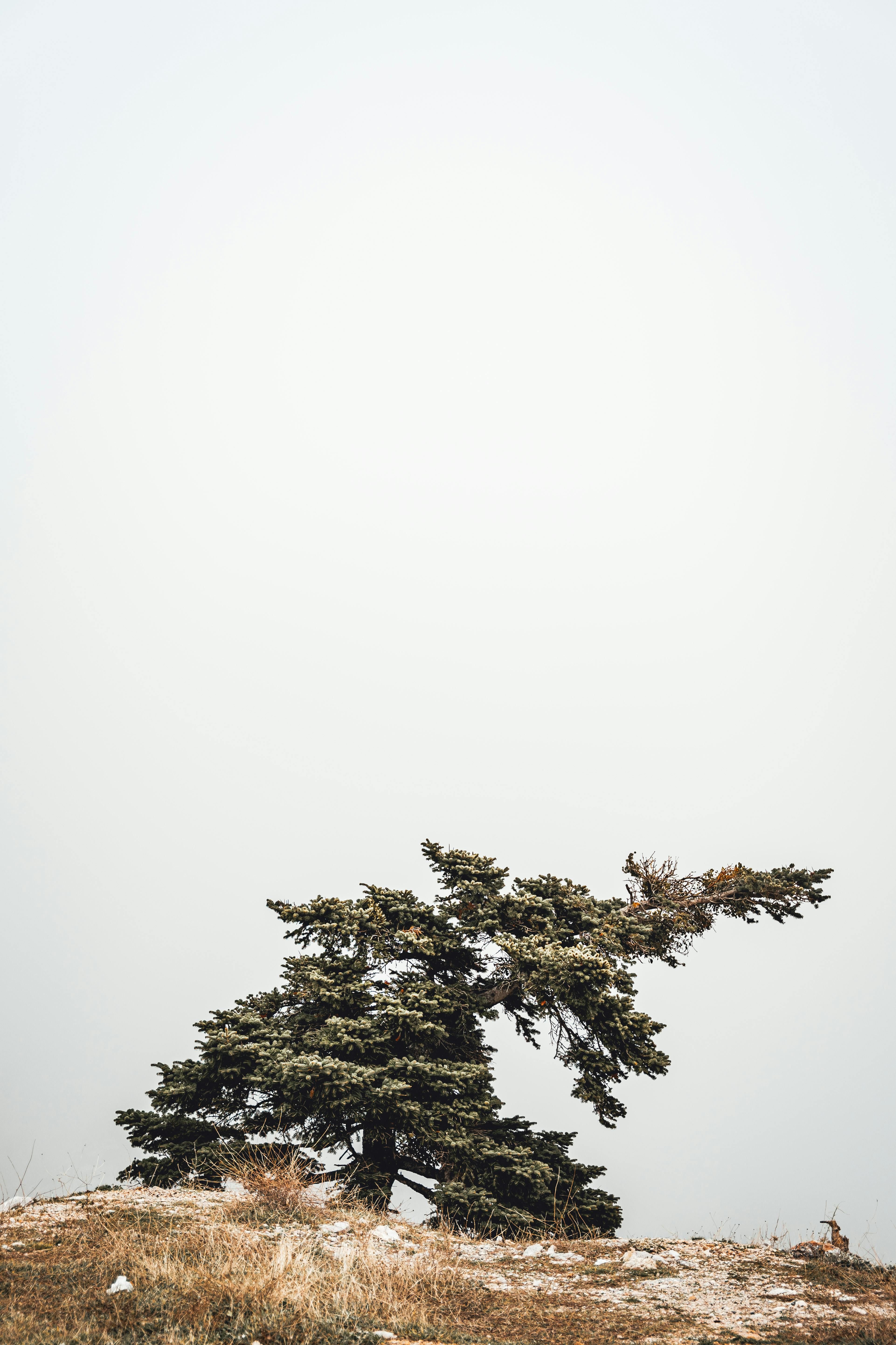 Betting on the Calgary Flames and various sports teams becomes accessible for Alberta residents, as...