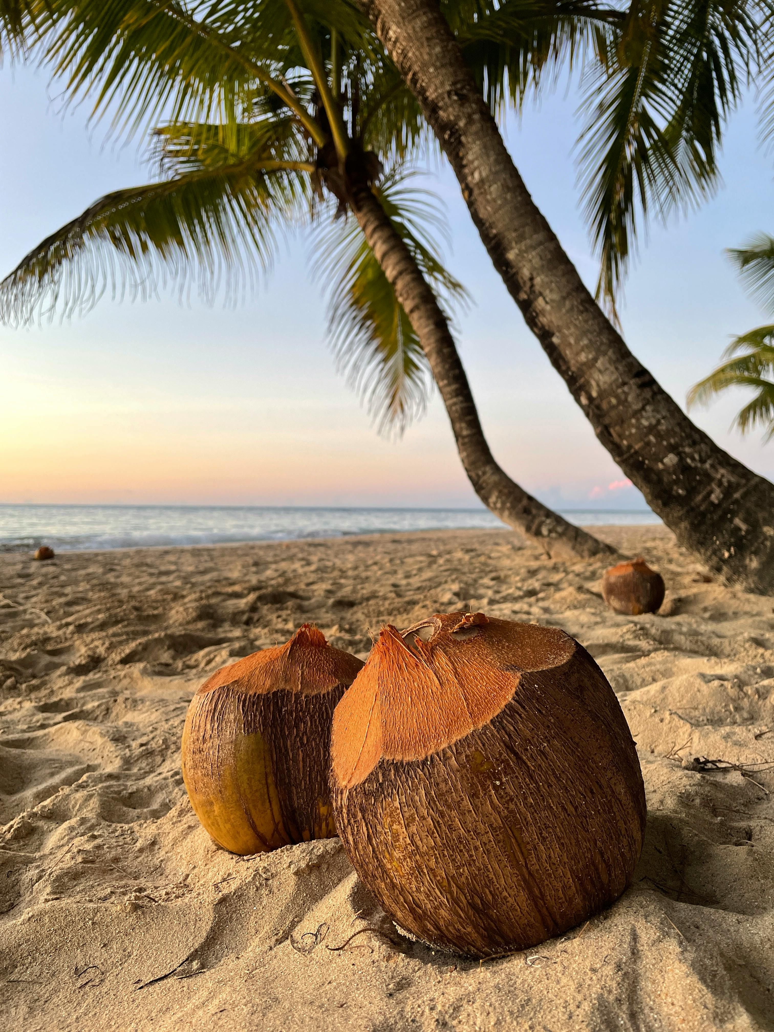 Politician Dagdelen Steps Inside the Russian Embassy Located in Berlin
