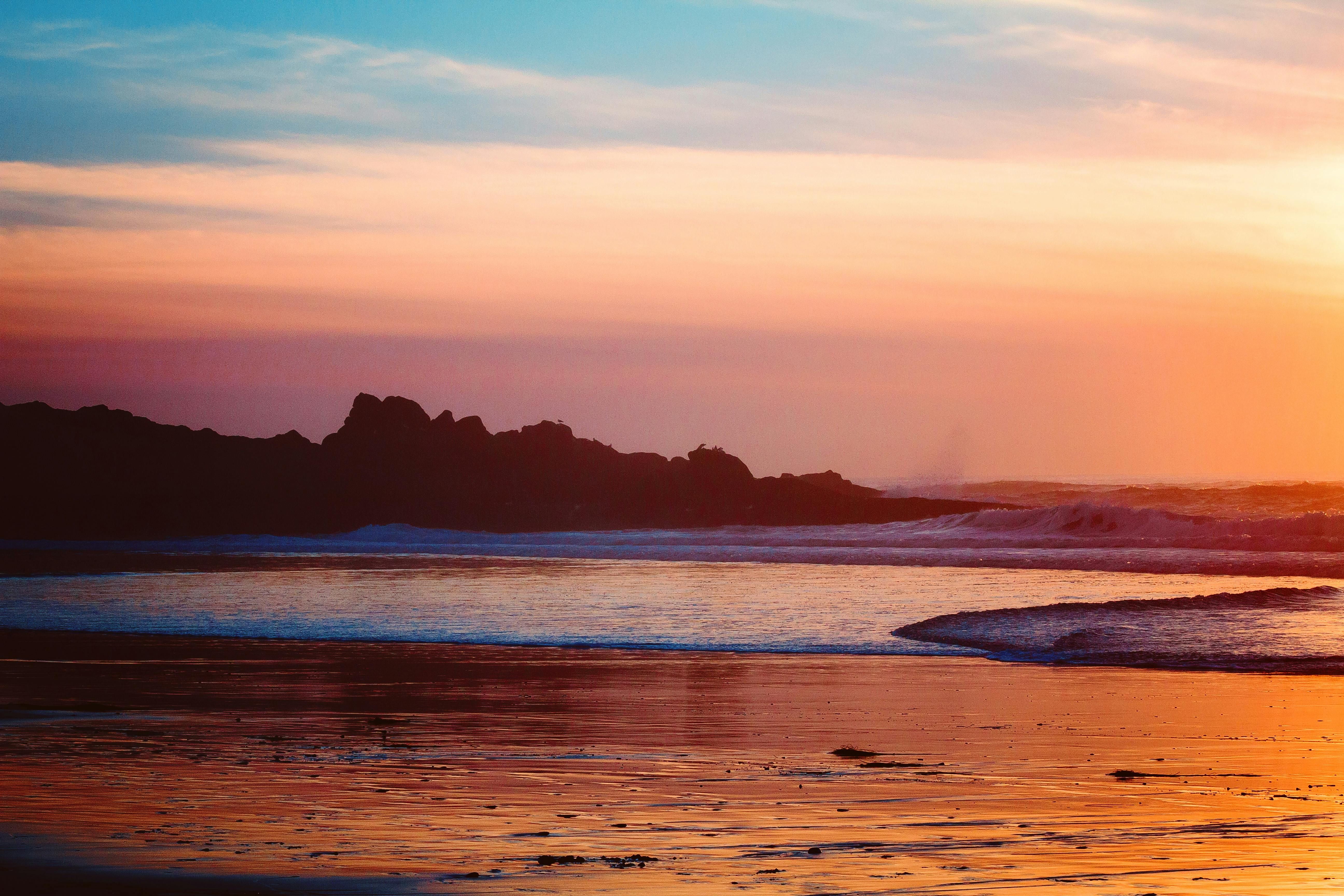 French authorities received Olivier Hadzovic, a suspect in the gruesome stabbing of Aboubakar Cissé...