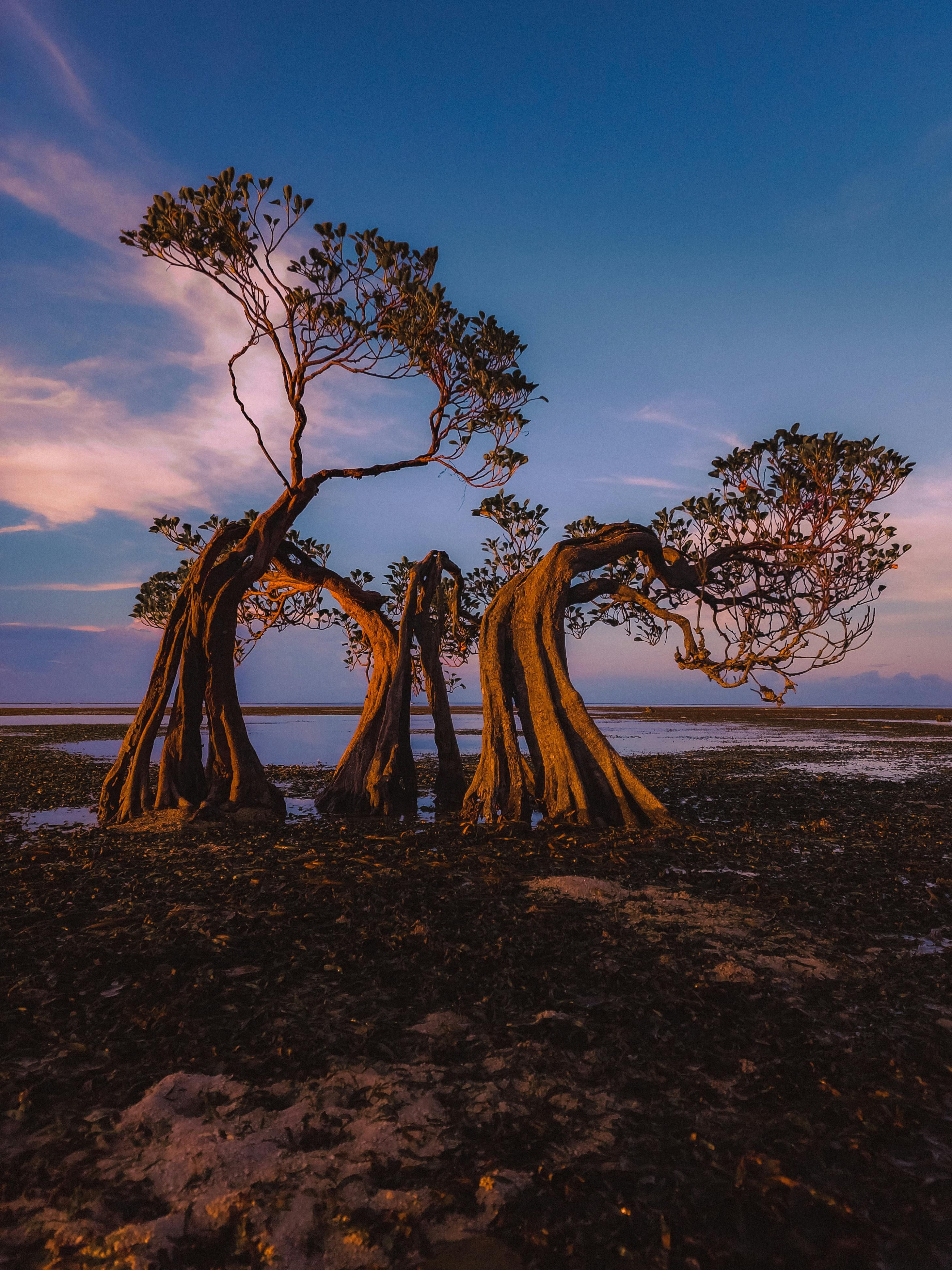 Parties pledge mutual defense in response to an assault by an antagonist, strengthening their...