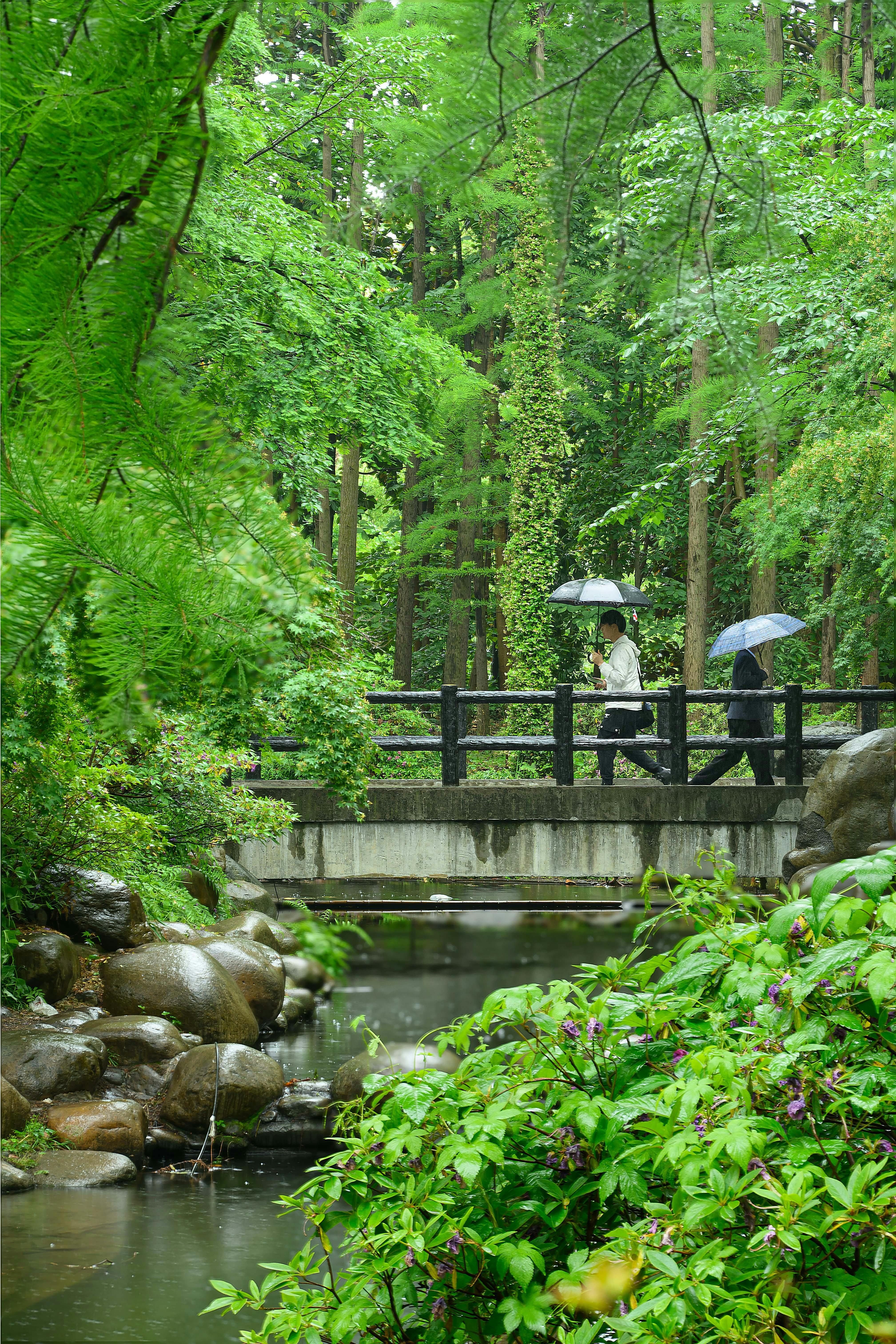 Recall the day, 8th May, 1945 - significant date in history...