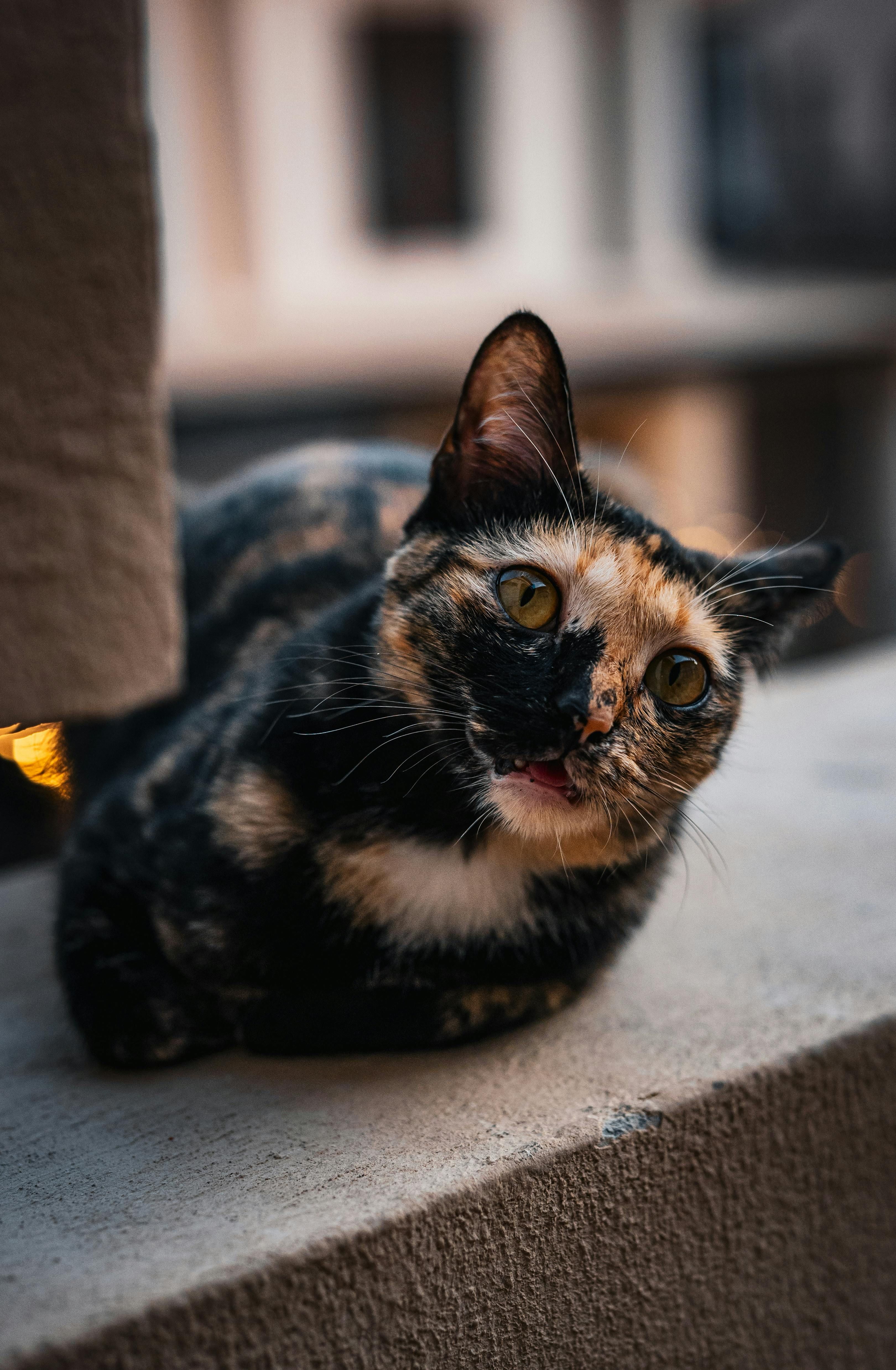 Former professional cyclist Jan Ullrich spotted during public event in August 2024.