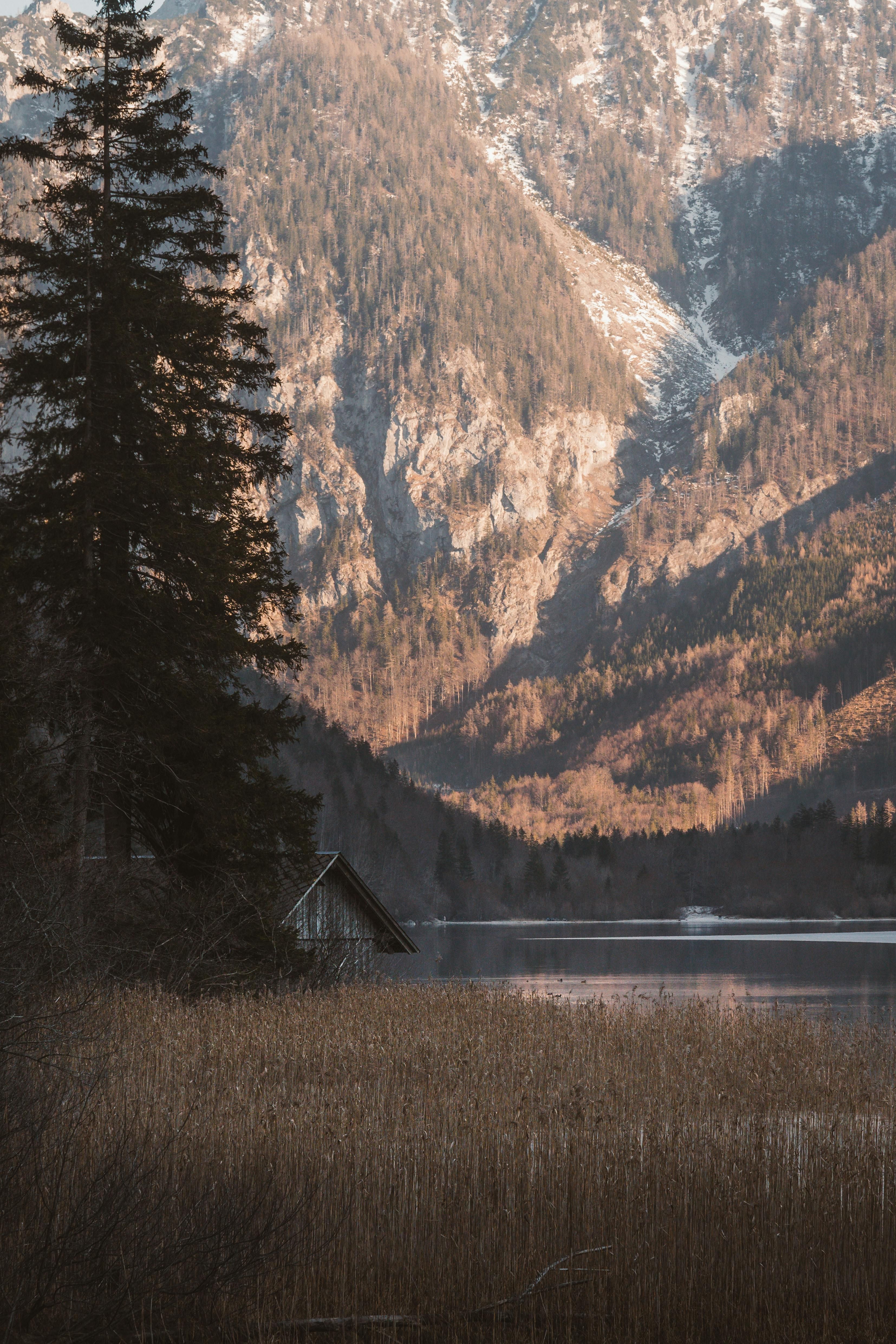 Ukrainian Leader Volodymyr Zelenskyy Speaks Up