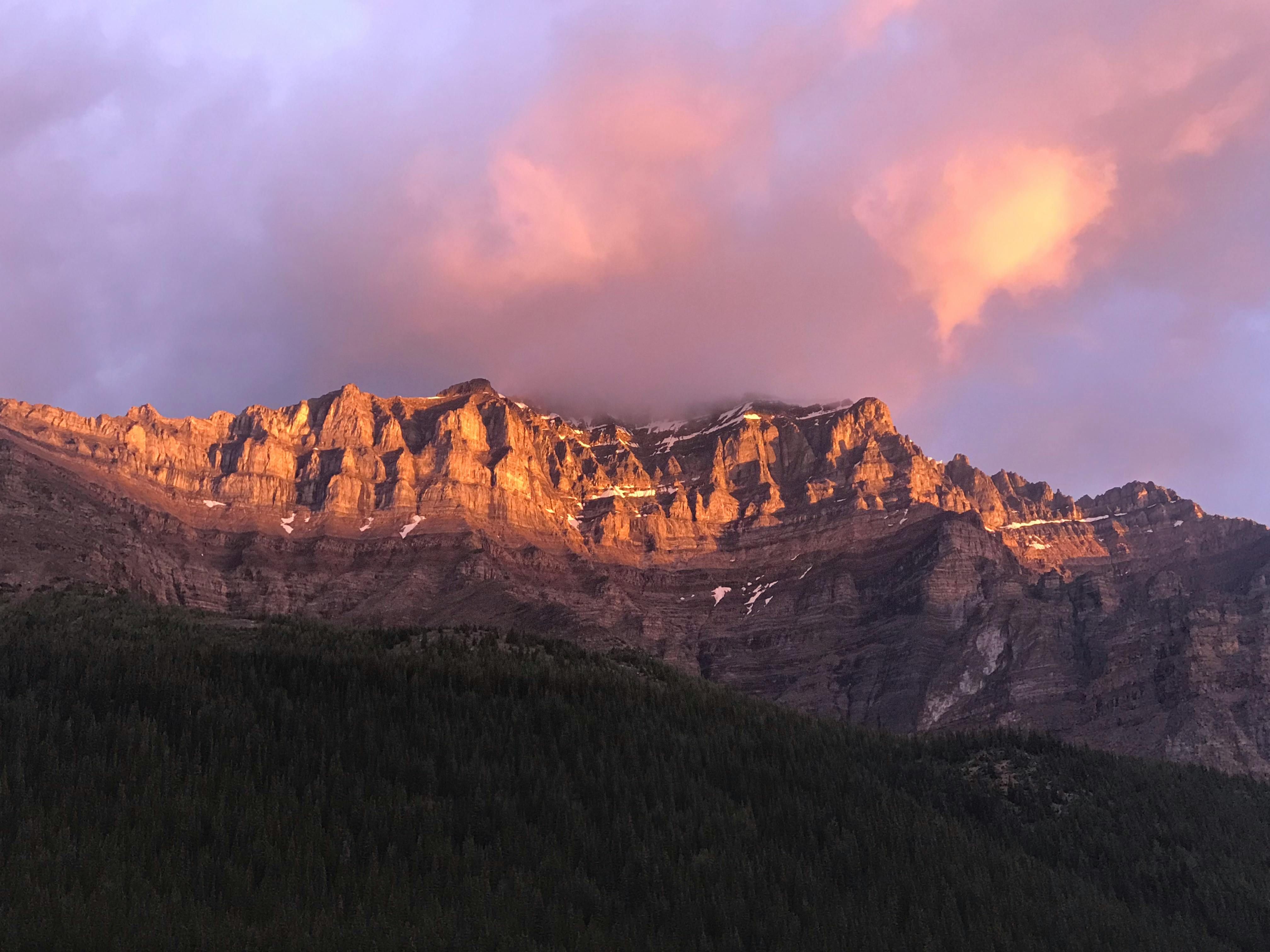 Victors: Dana Herfurth, Bernhard Wenger, Tua El-Fawwal, and Enzo Brumm.