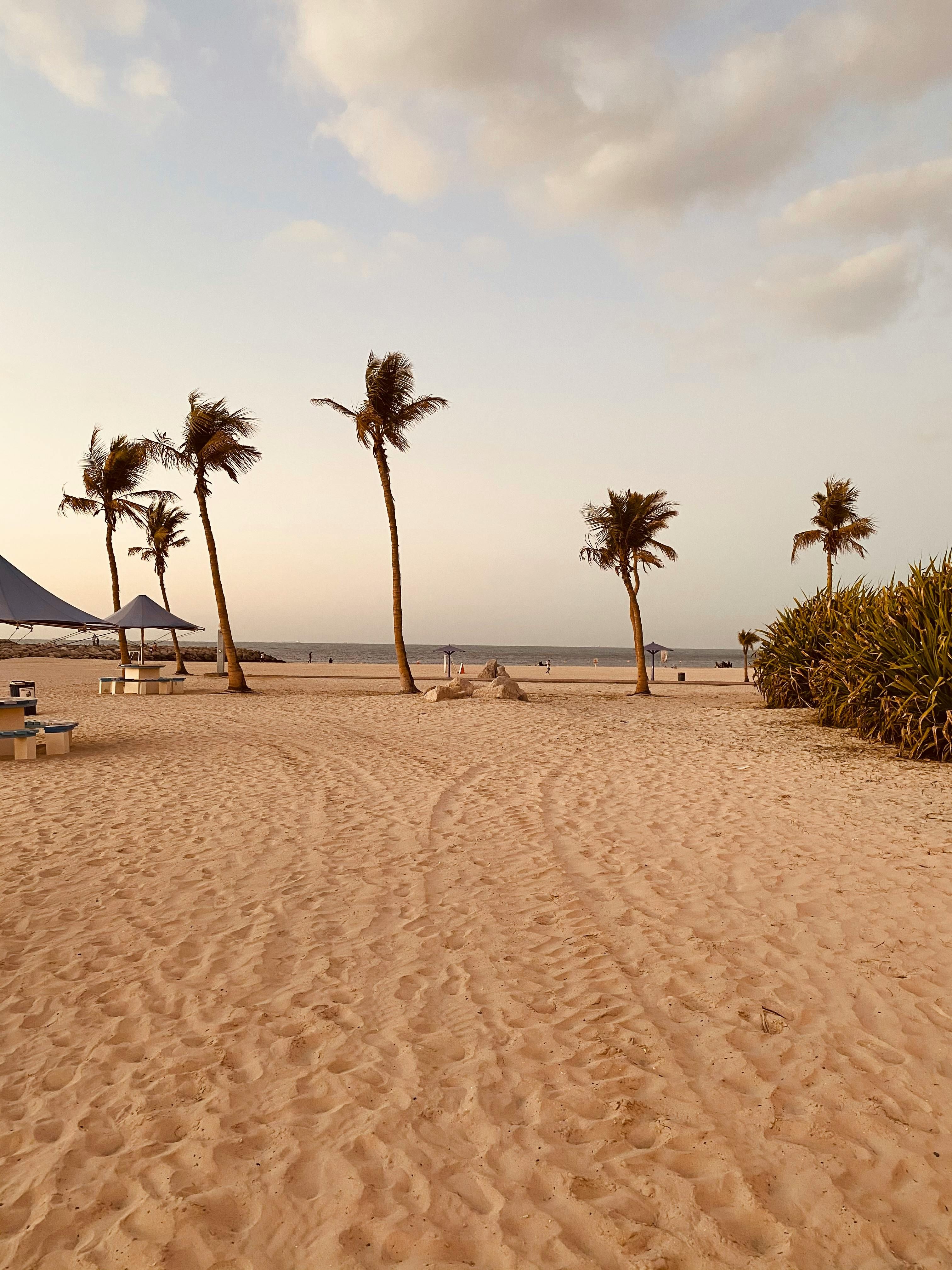 Plan under consideration