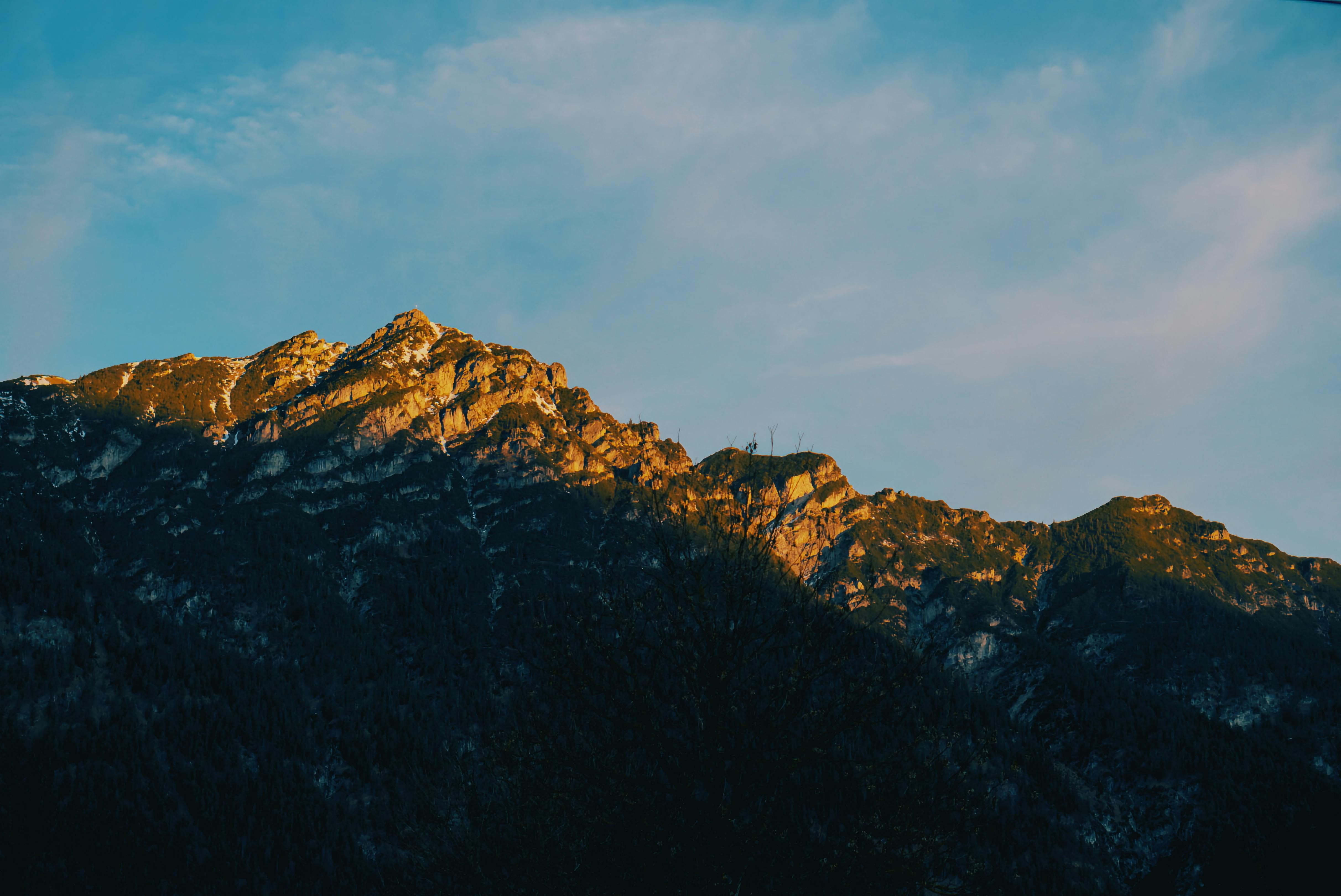 Enhanced border security and deportation of asylum seekers formulate the federal government's...